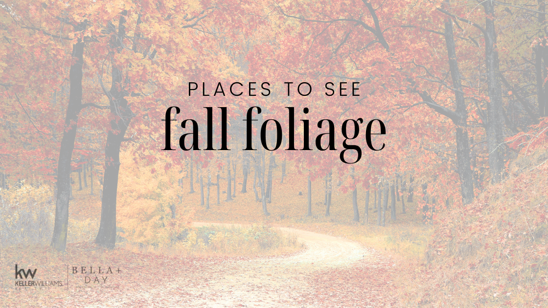 Fall is here!