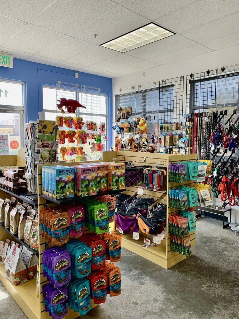 Cali’s Corner: Struttin' Pup