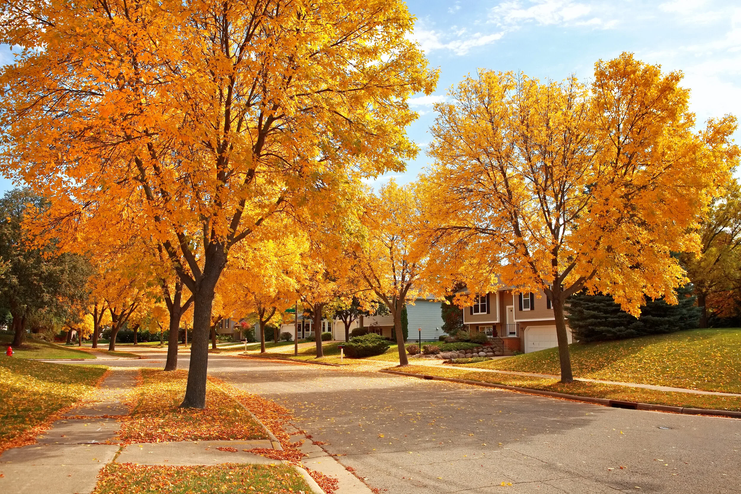 Fall Home Maintenance Checklist