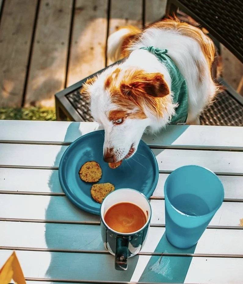 Cali’s Corner: Winnie Lou 