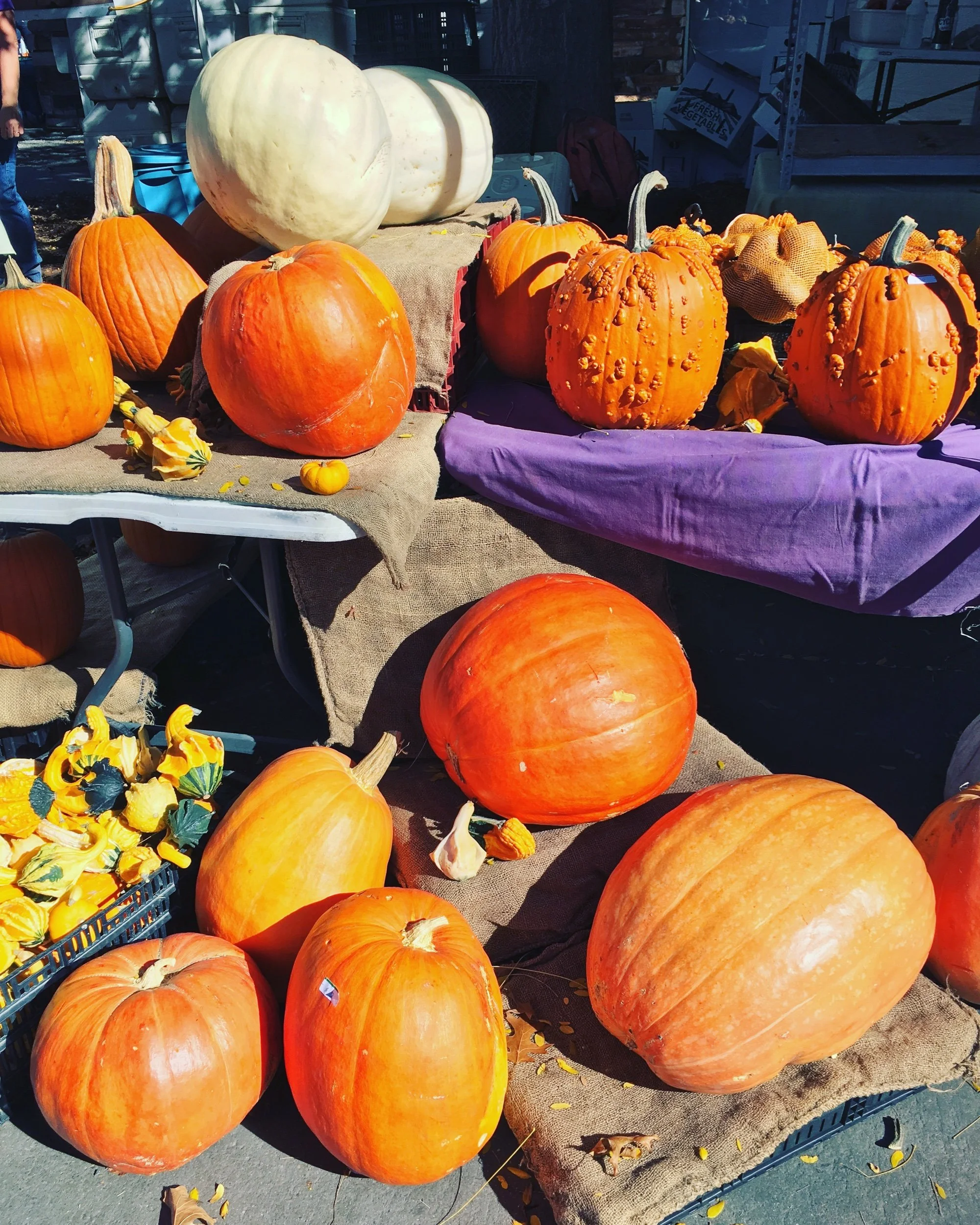 Local Love: Getting Frightfully Festive on the Front Range