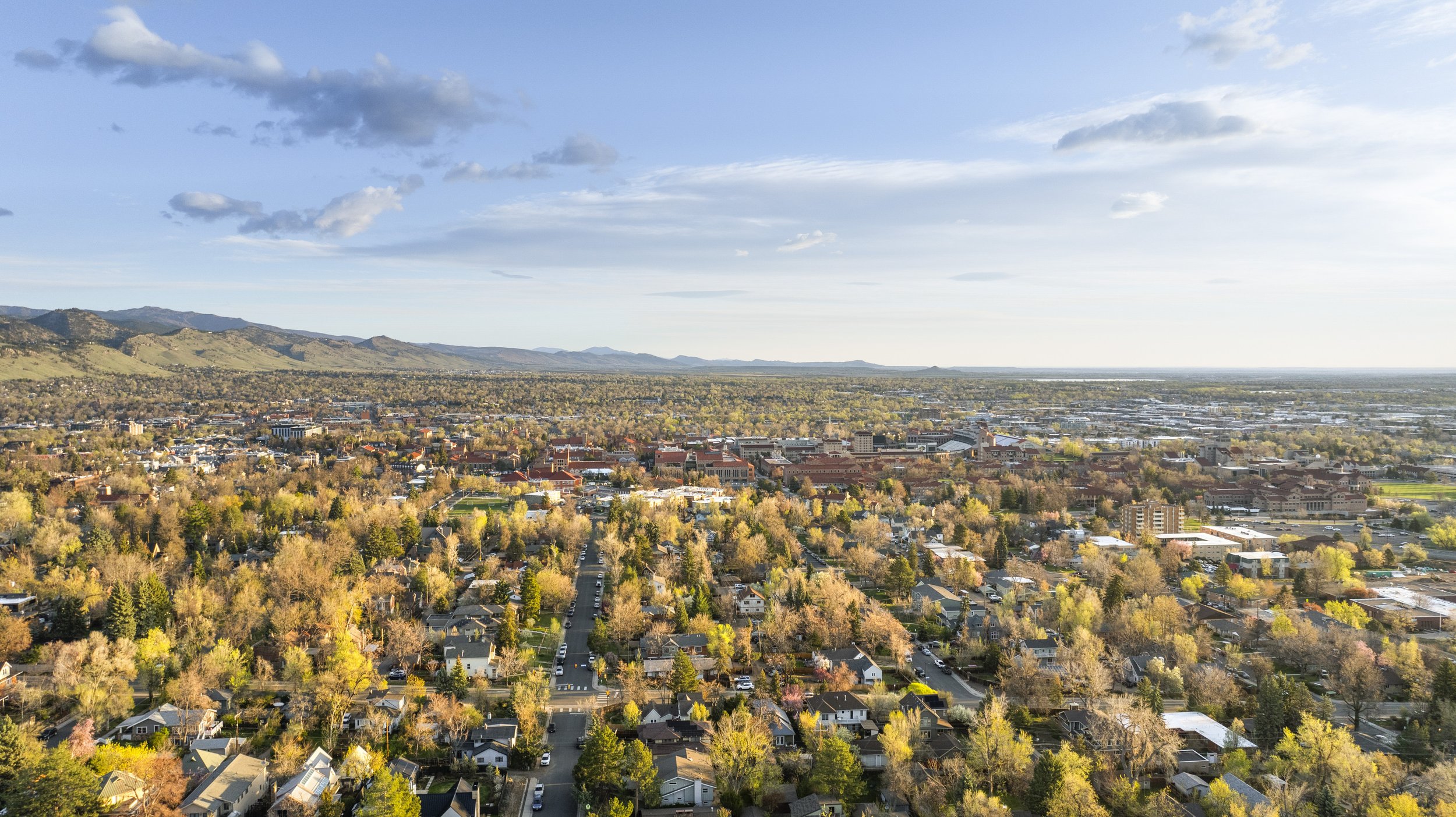 1498 King Avenue - Print - Trendem Media-67.jpg
