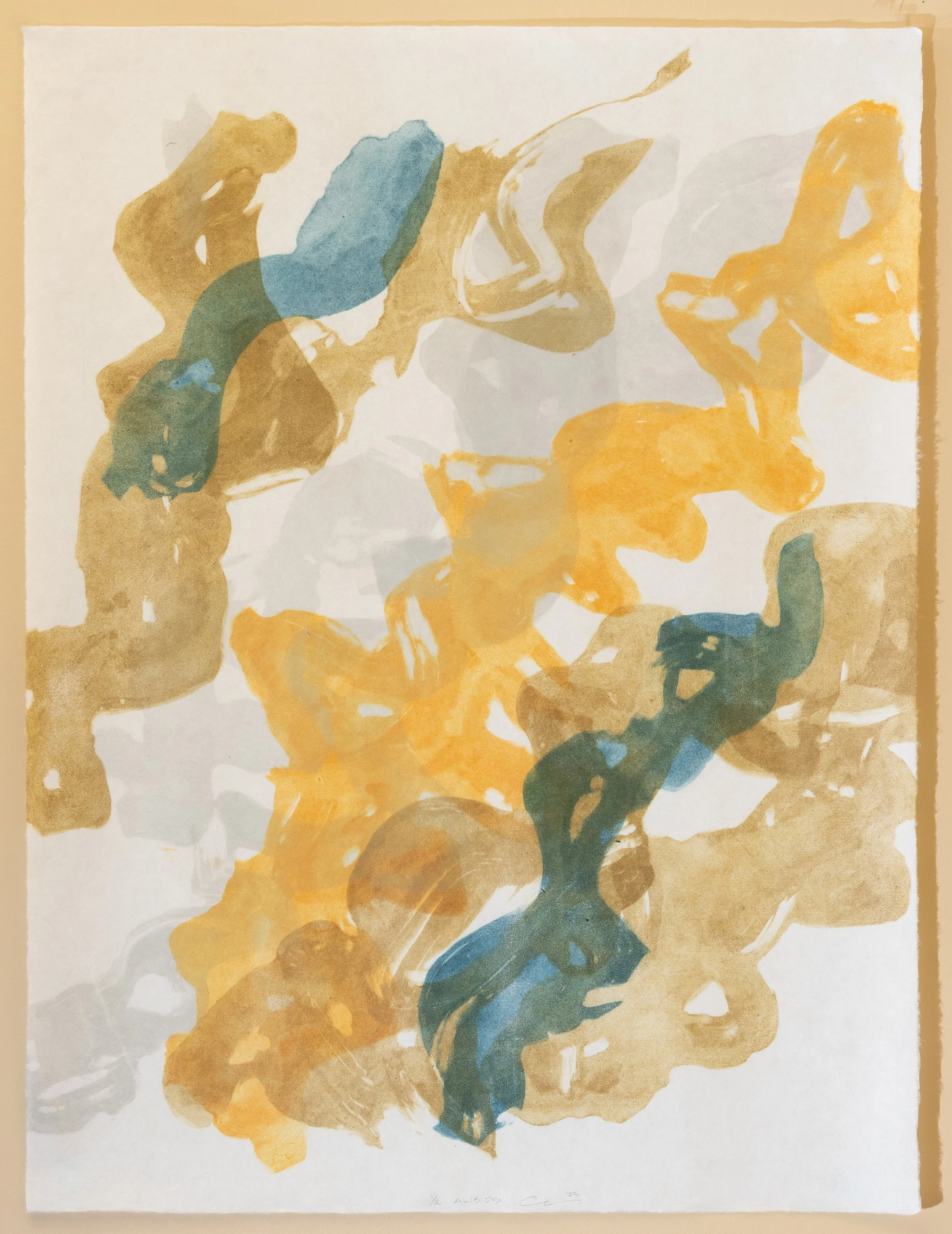 Alisios A / 2025 Photolitho with Carburundum Collagraph 3 Plate 4 Color (33" X 25")