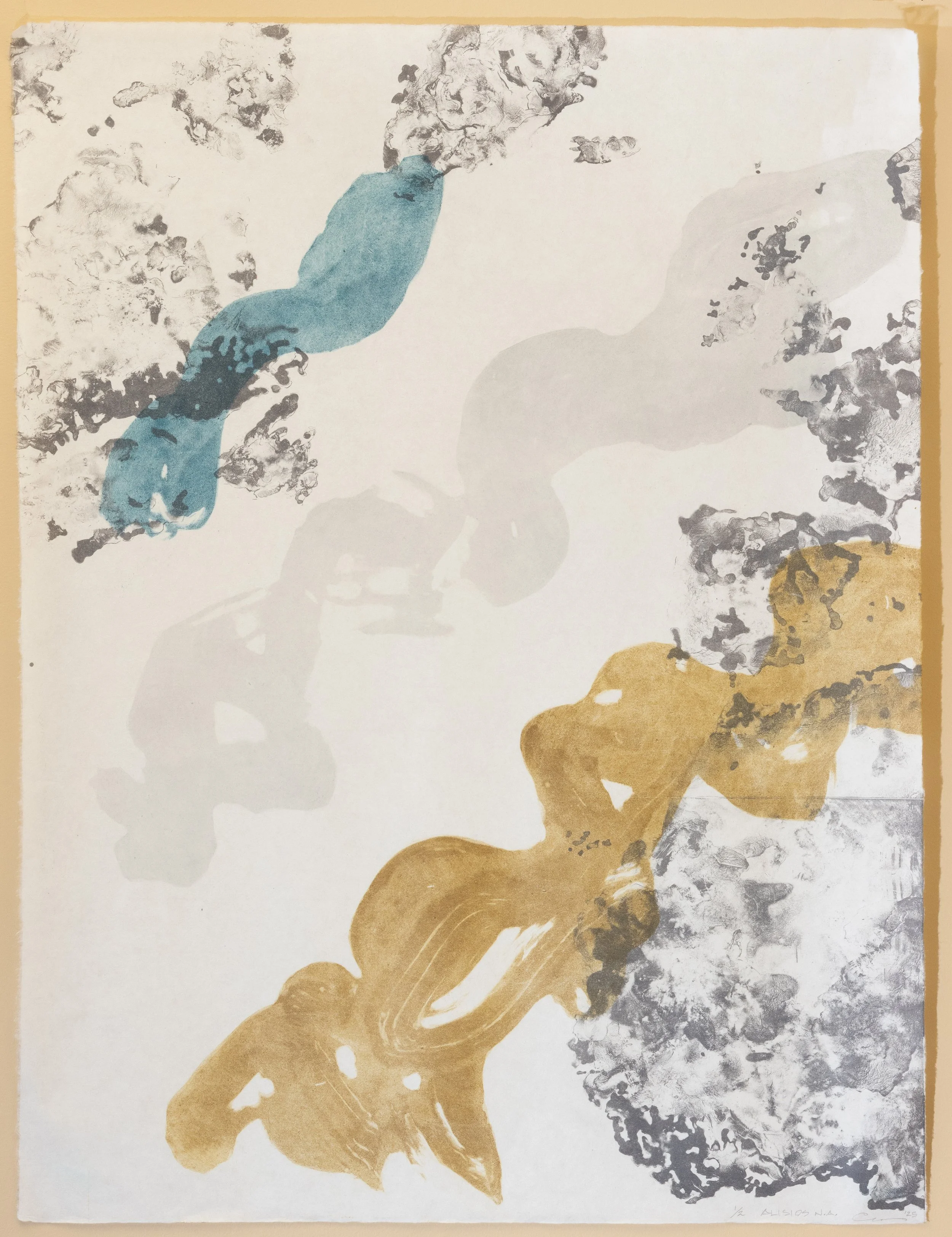 Alisios NA / 2025 Photolitho with Carburundum Collagraph 2 Plate 4 Color (33" X 25")