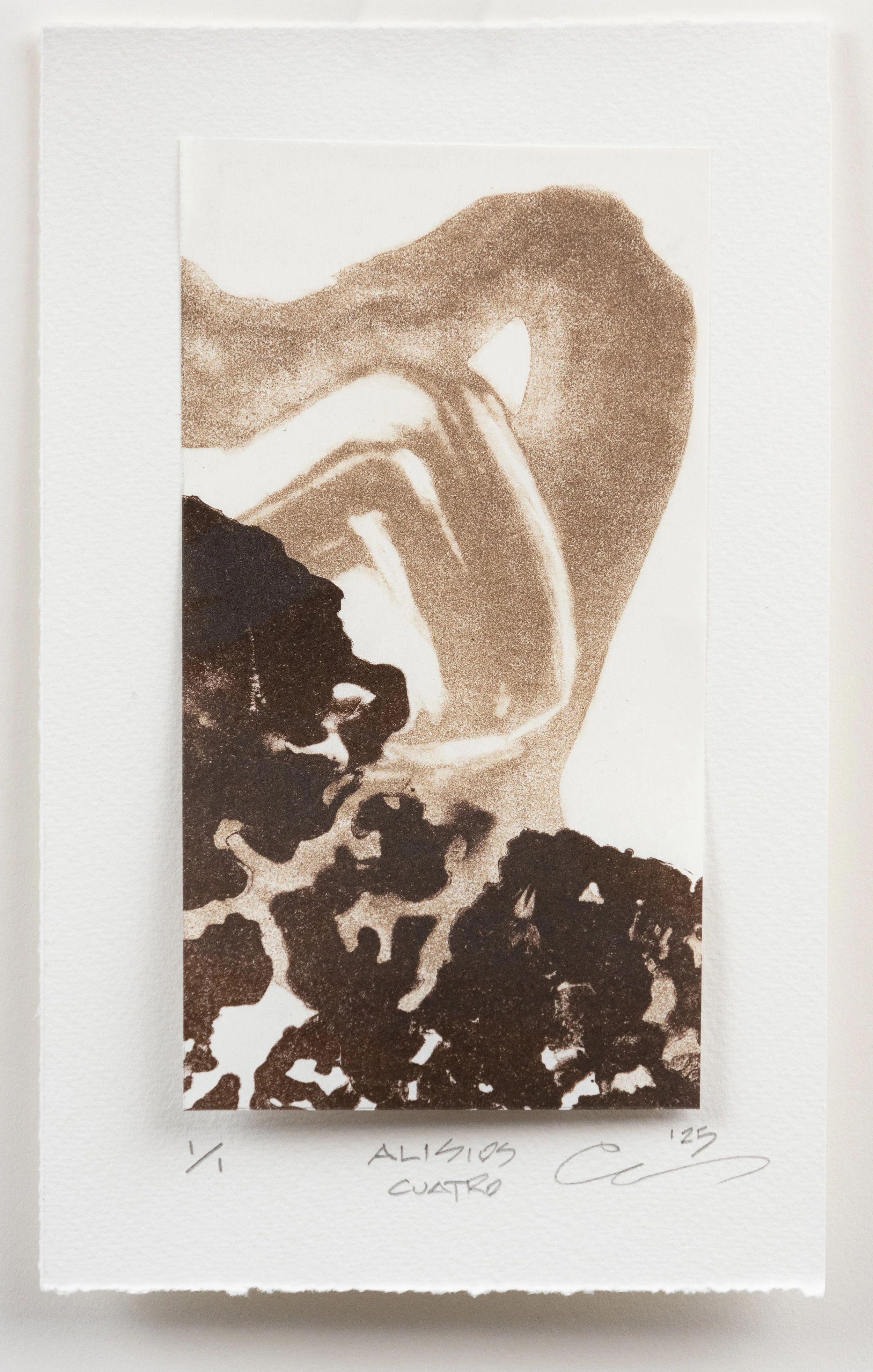 Alisios Cuatro / 2025 Photolitho with Carburundum Collagraph Partial Plate (10" X 6")