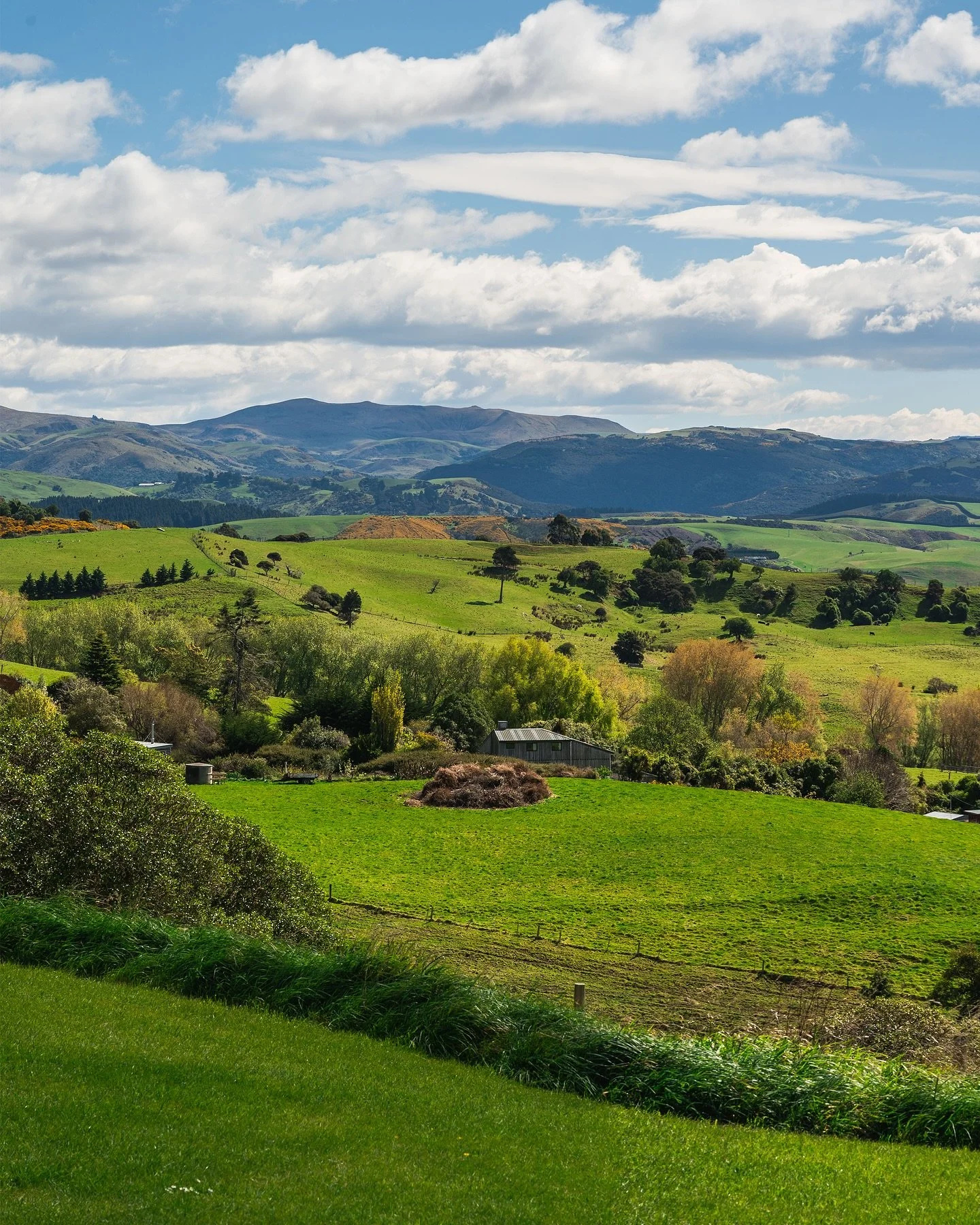 This land and experience I&rsquo;m having here has solidified my awakening of where I&rsquo;m headed.

My ease of access to this sobering raw land has set me free from the puppeteering strings of fear, mongering and mental captivity of the world.

Si