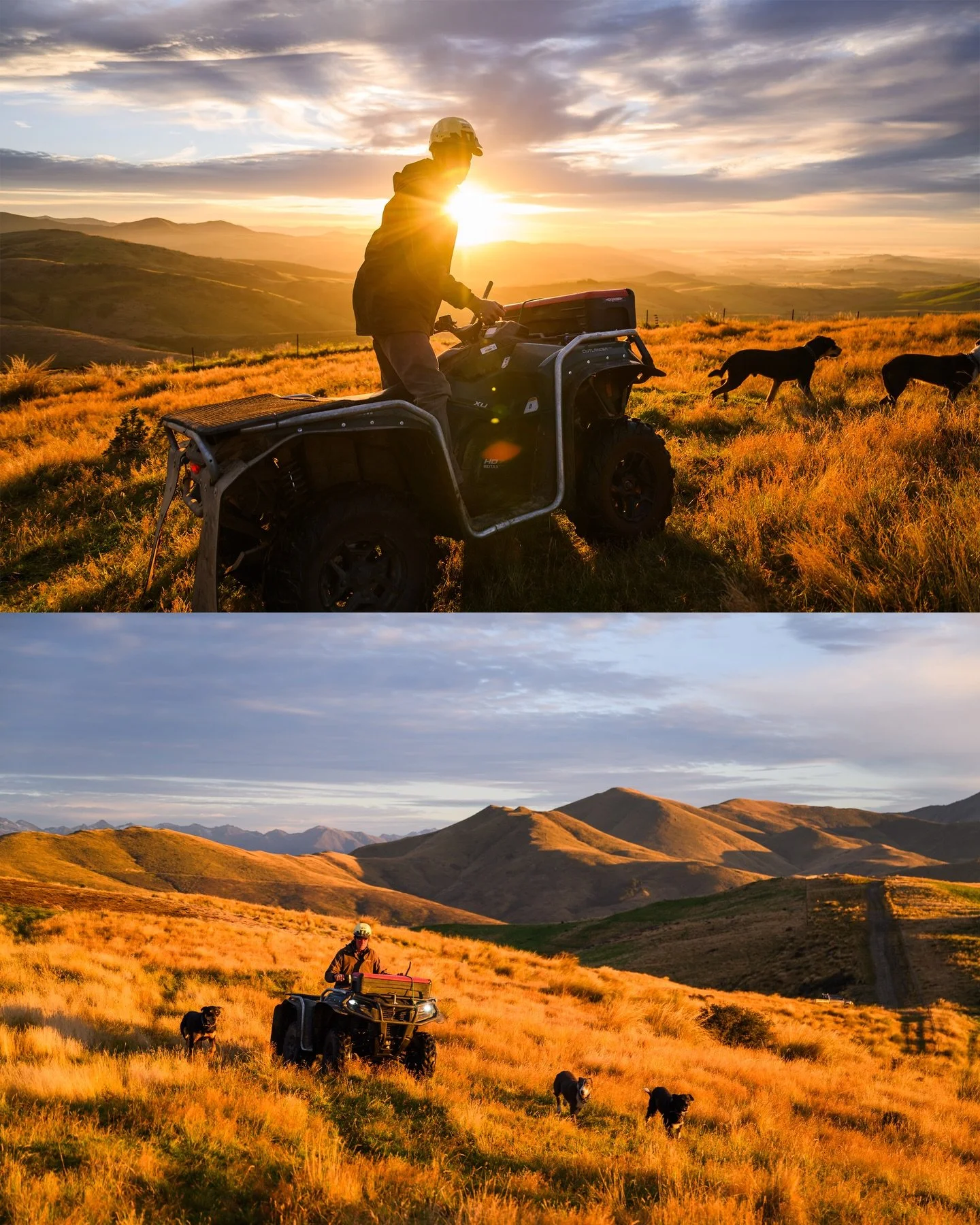 At the beginning of the month I had the brilliant opportunity to capture the wonderful farm stay on Sweetacres in Lumsden, Southland, New Zealand. 

I met Katie, Hamish, Willie and Phillipa and their families, the owners and operators of this tranqui