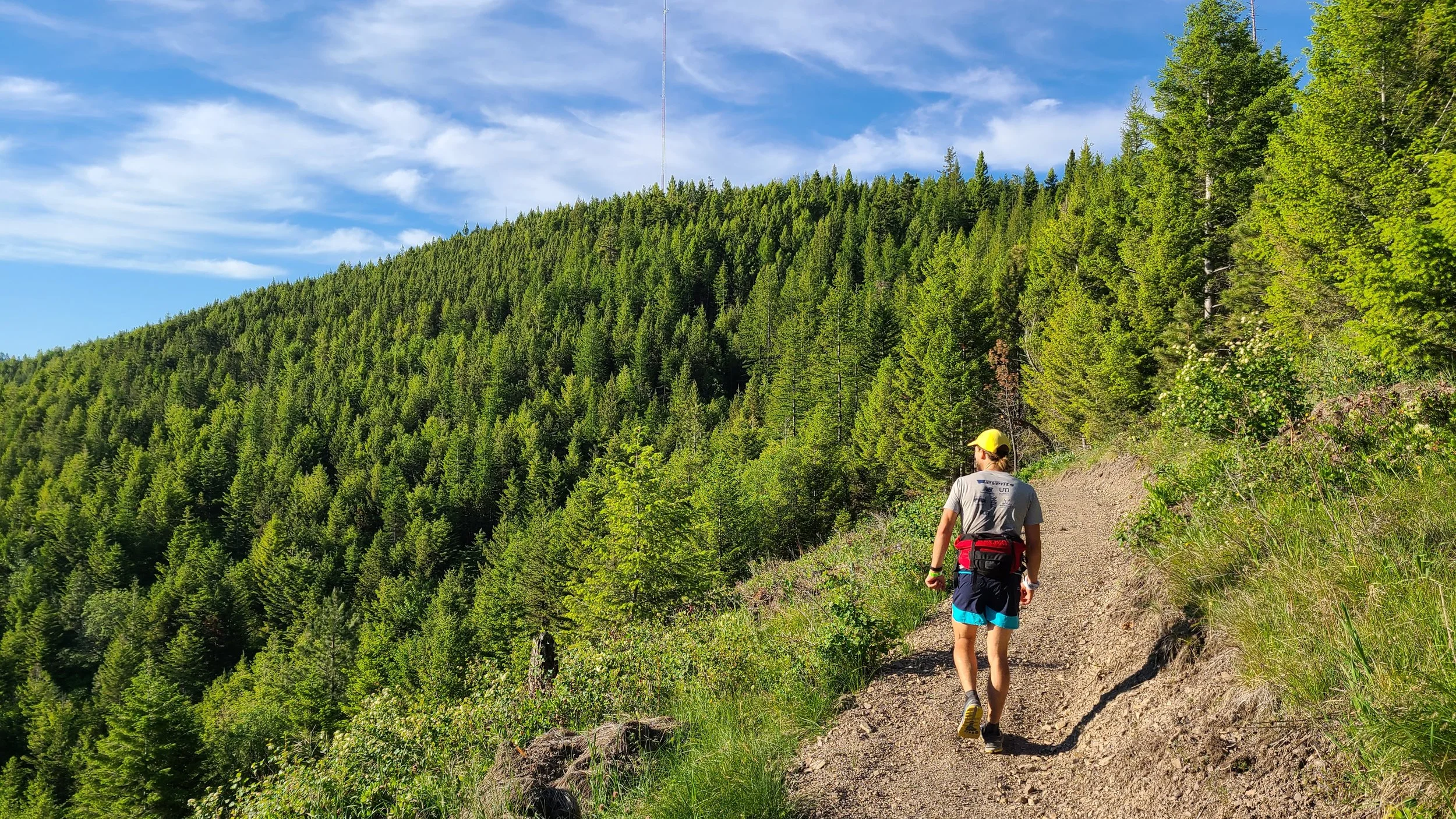 Mount Dean Stone Preserve Trail in Missoula (Five Valleys staff).jpg