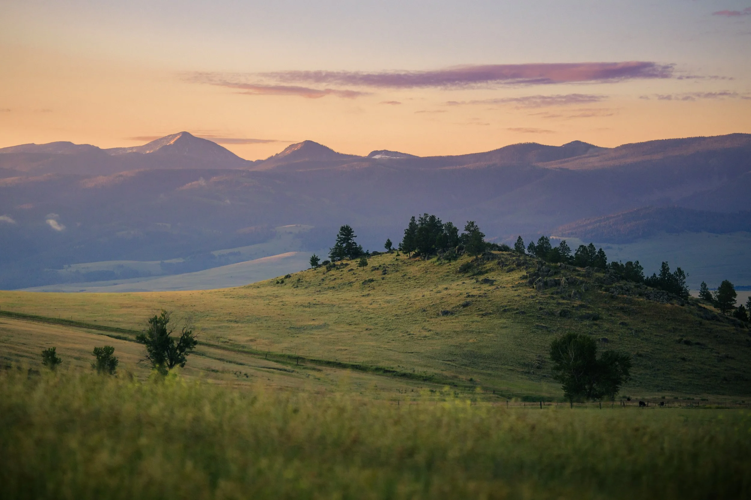 McGowan Ranch conservation easement near Drummond (Revealing Earth).jpg