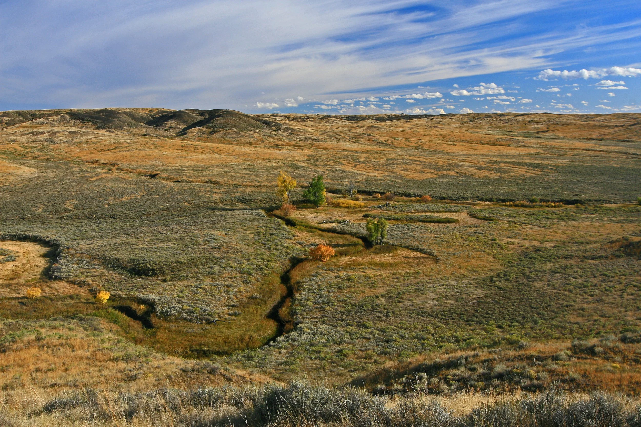 IMG_8671 Box Elder Ck.jpg