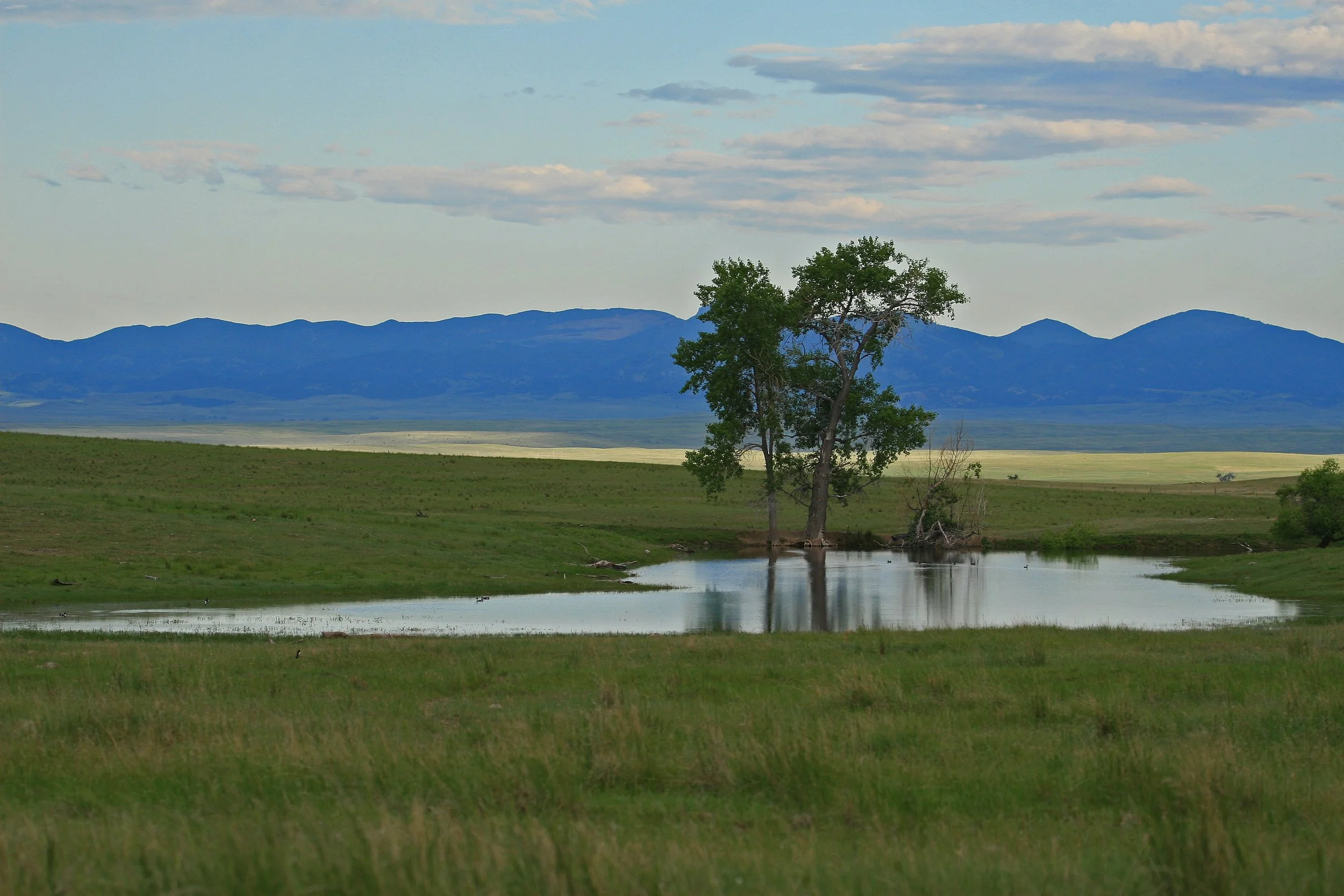 IMG_4923 Waters.jpg