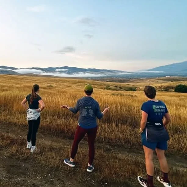 FiveValleys_grasslands.jpg