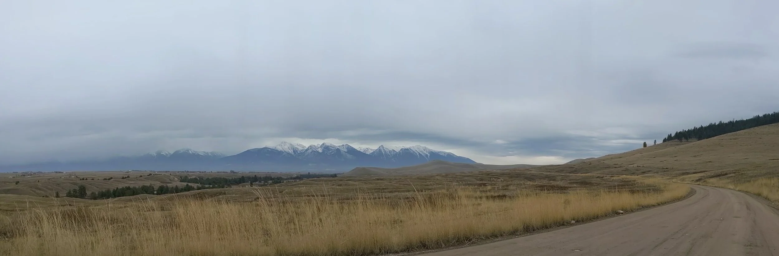PANO_20191112_133250.vr.jpg