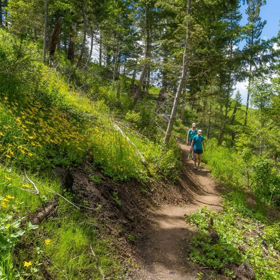 FiveValleys_2trail.jpg