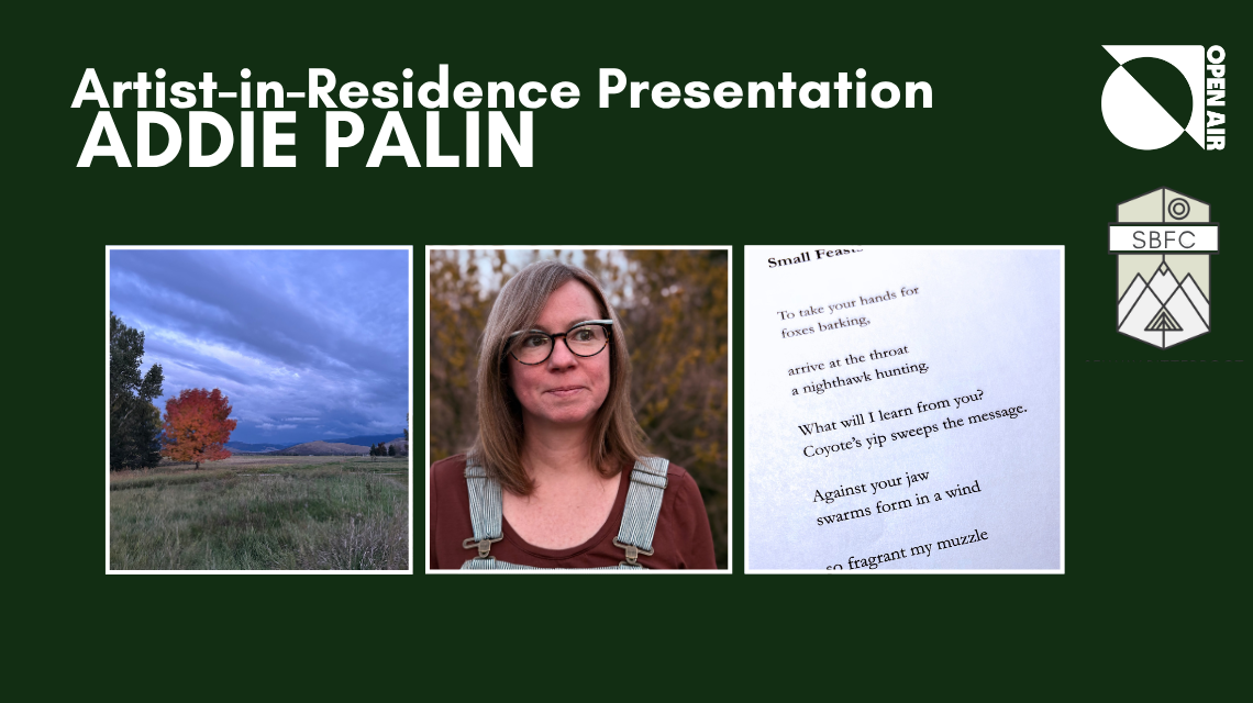Addie Palin AP Banner Clean.png