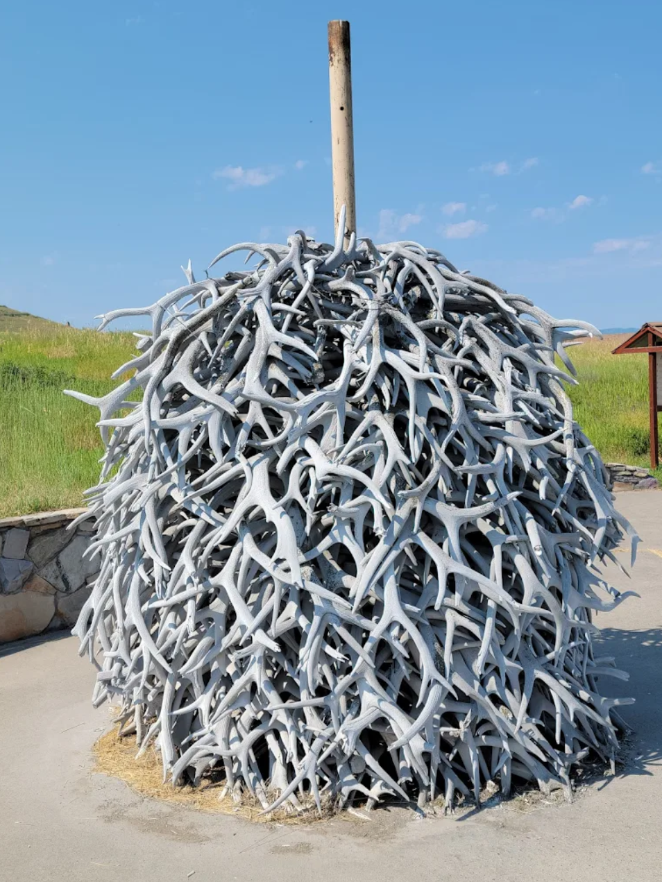 Bison Antler pile.png