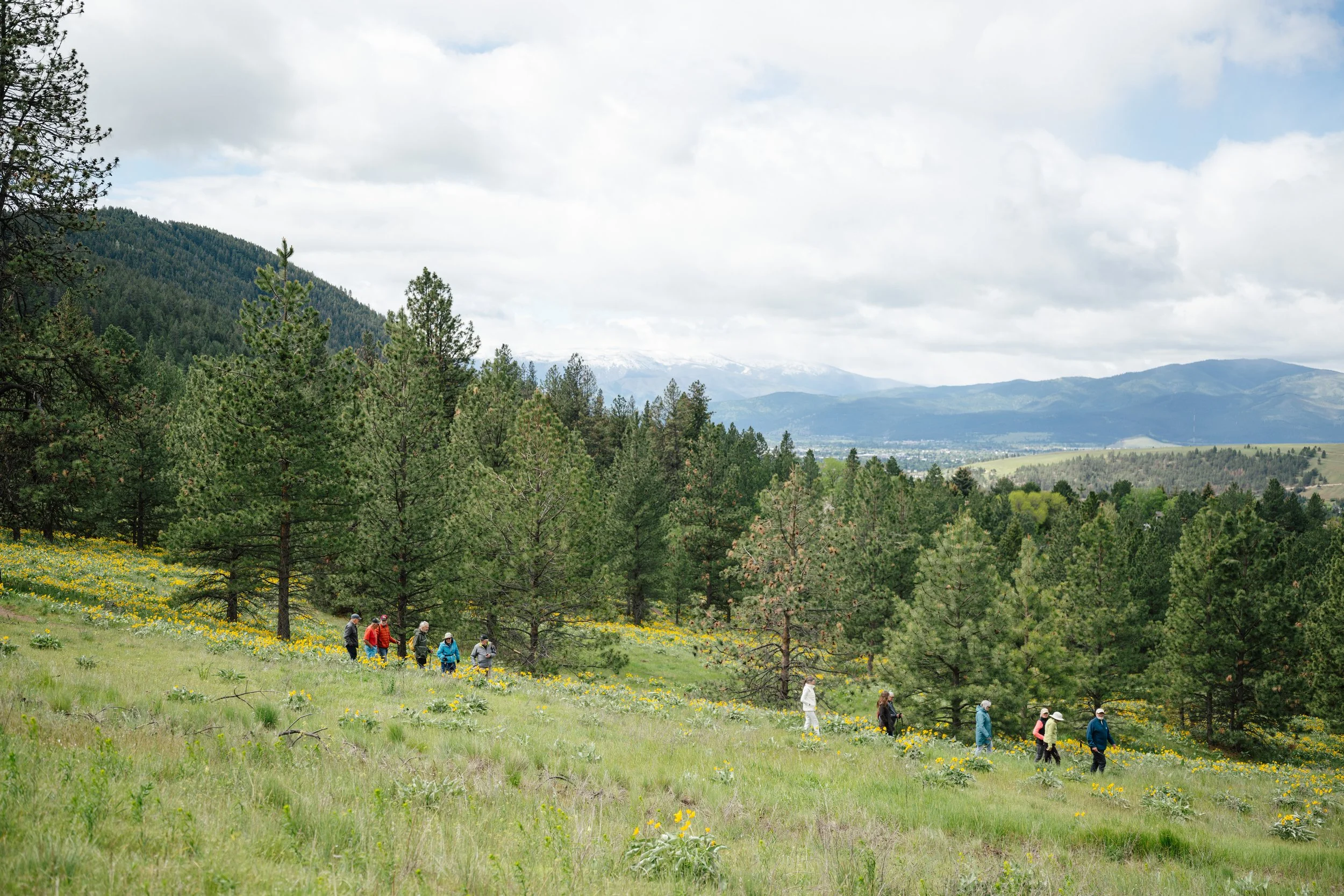 Hikers on Mount Jumbo in Missoula (Anastasia Wilde).jpg