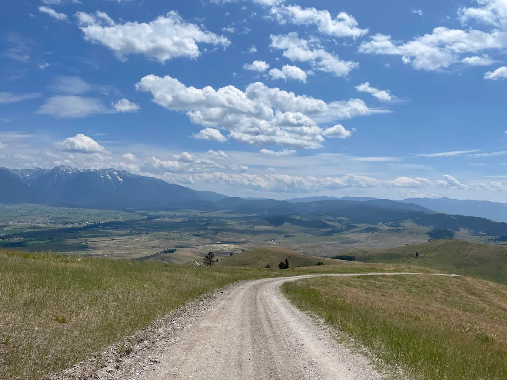 Bison Road.png