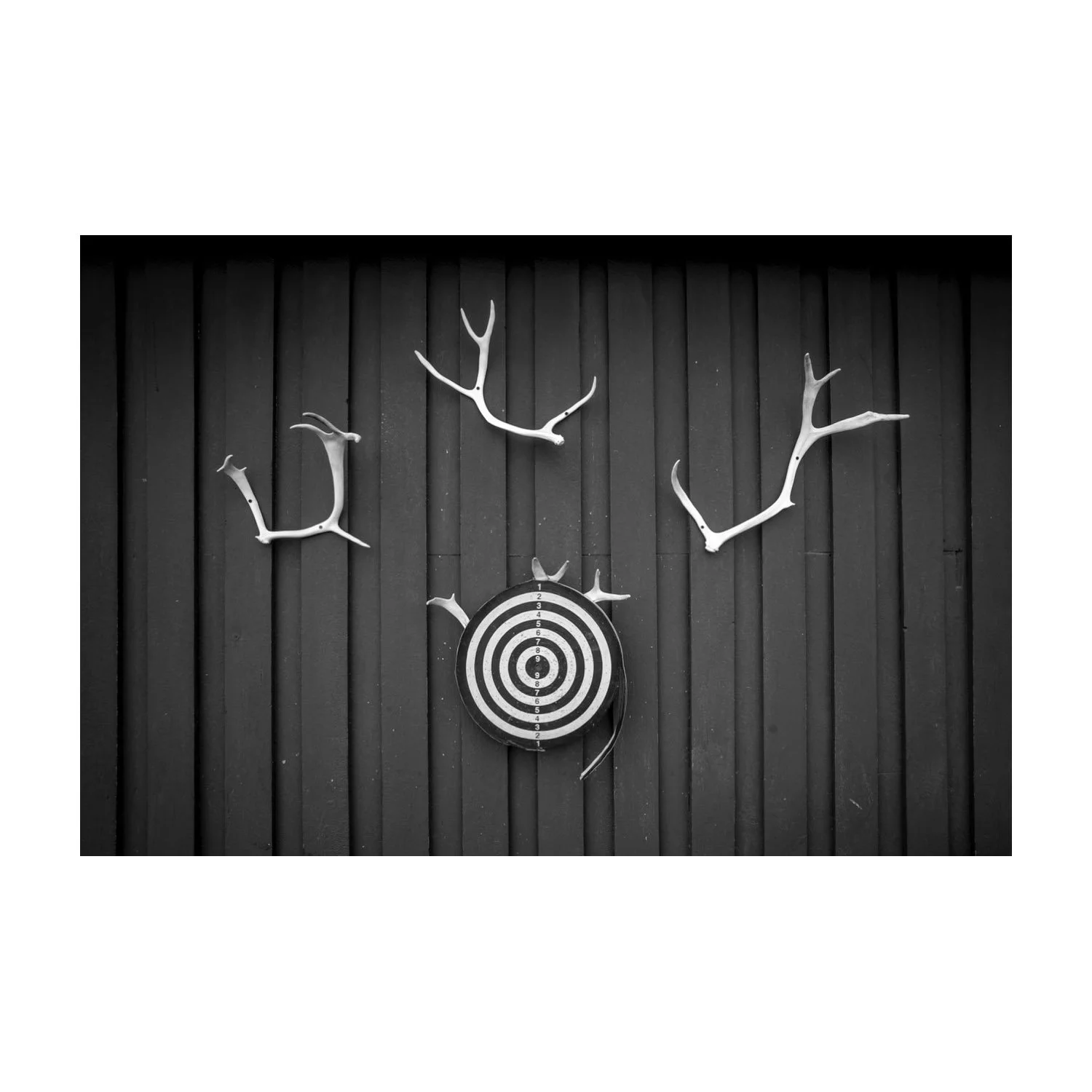 12169 – stort.jpeg