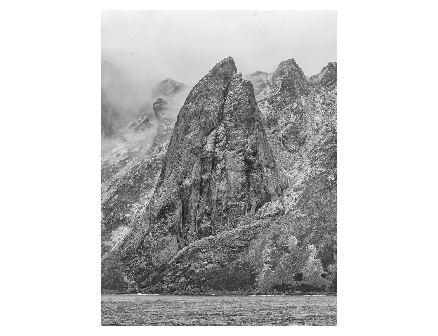 20 Grå fjellfallos.jpg