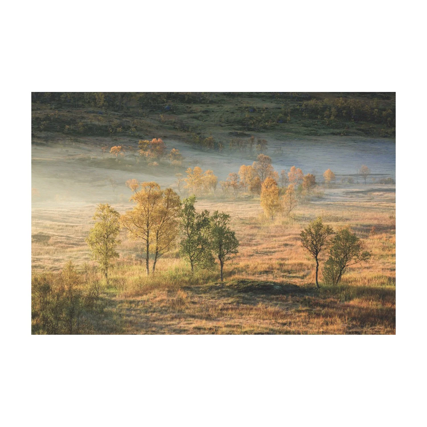 13535-Trym Ivar Bergsmo Stor.jpeg