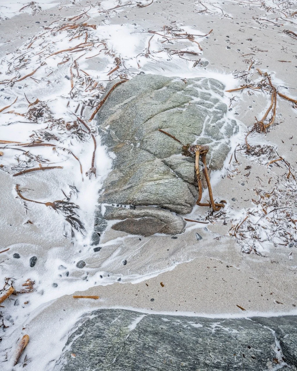 5- 26 - sand tang sno stein Stor.jpeg