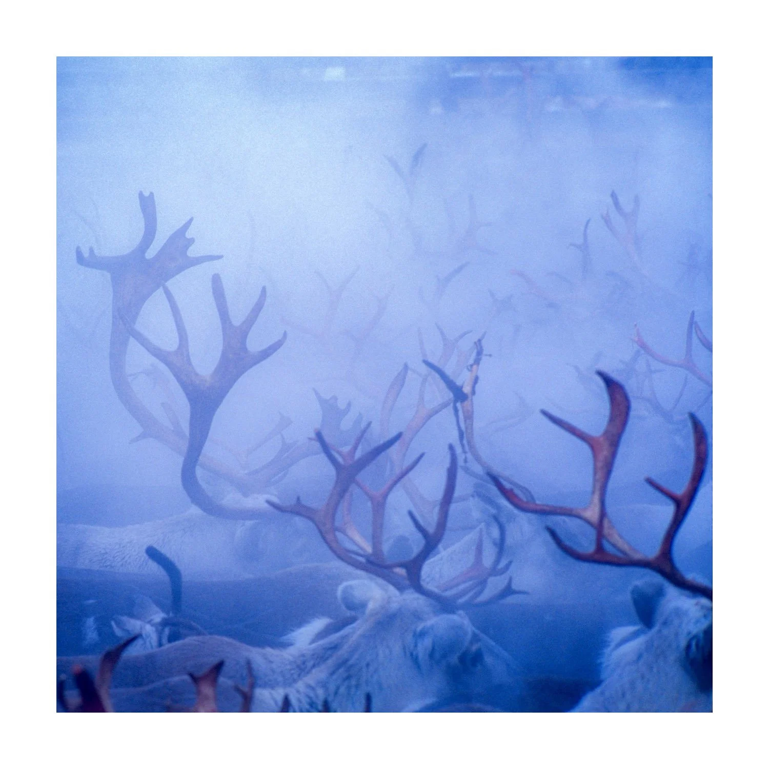 2621-Edit-Edit – stort.jpeg