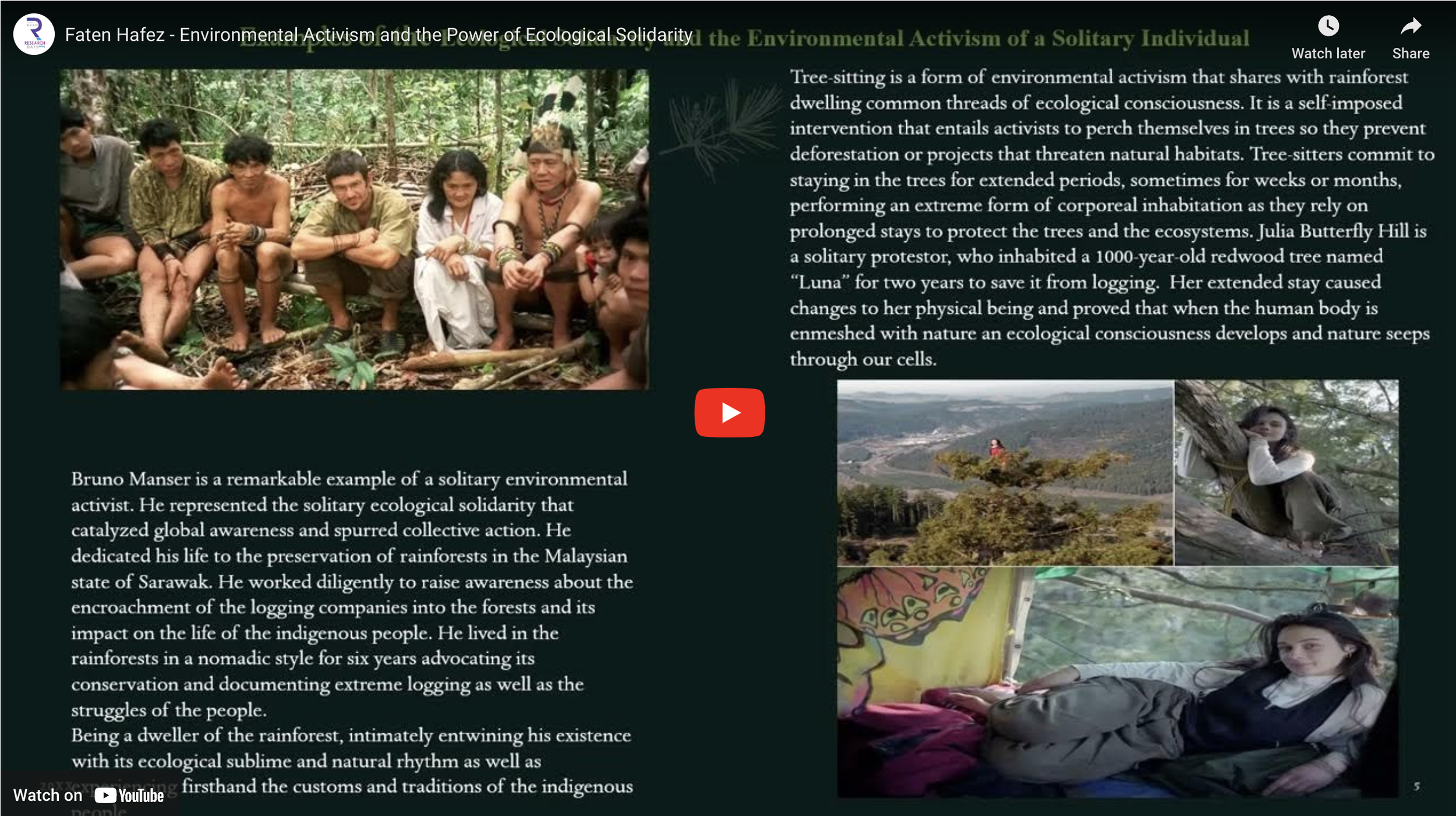 Environmental Activism and the Power of Ecological Solidarity