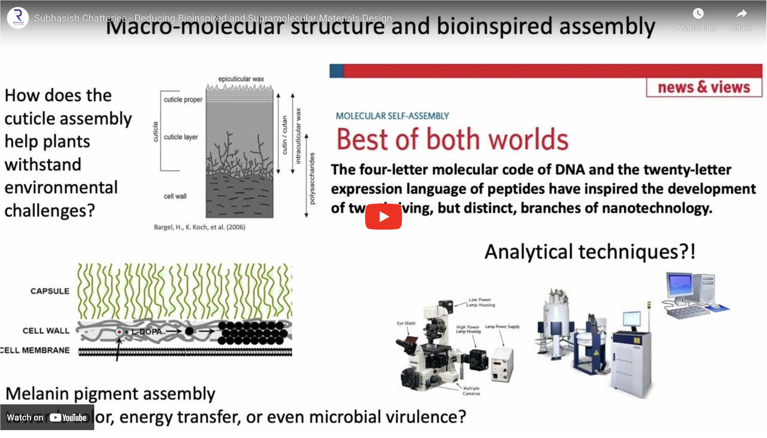 Deducing Bioinspired and Supramolecular Materials Design