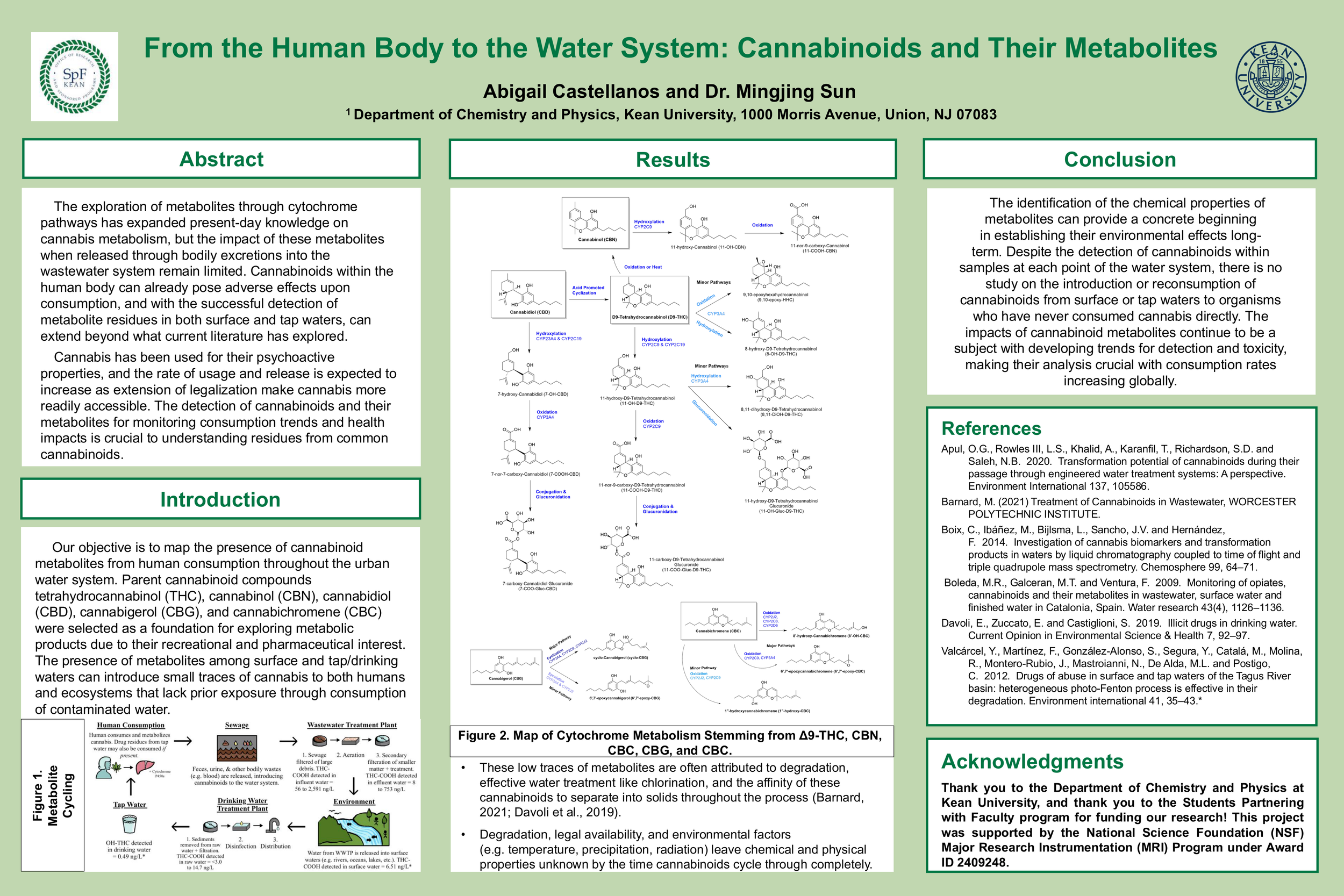 From the Human Body to the Water System: Cannabinoids and Their Metabolites