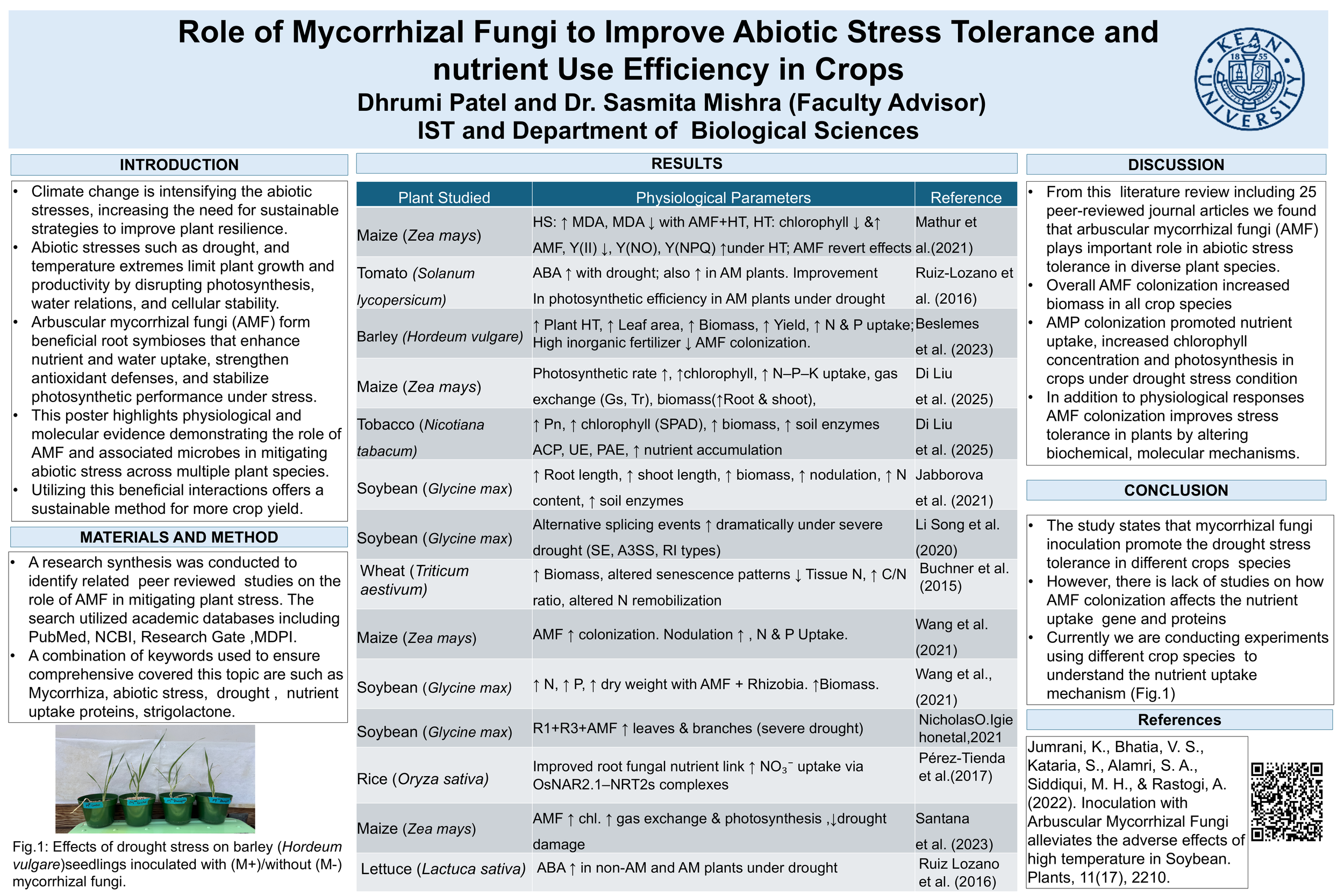 Role of Mycorrhizal Fungi to Improve Abiotic Stress Tolerance and  nutrient Use Efficiency in Crops