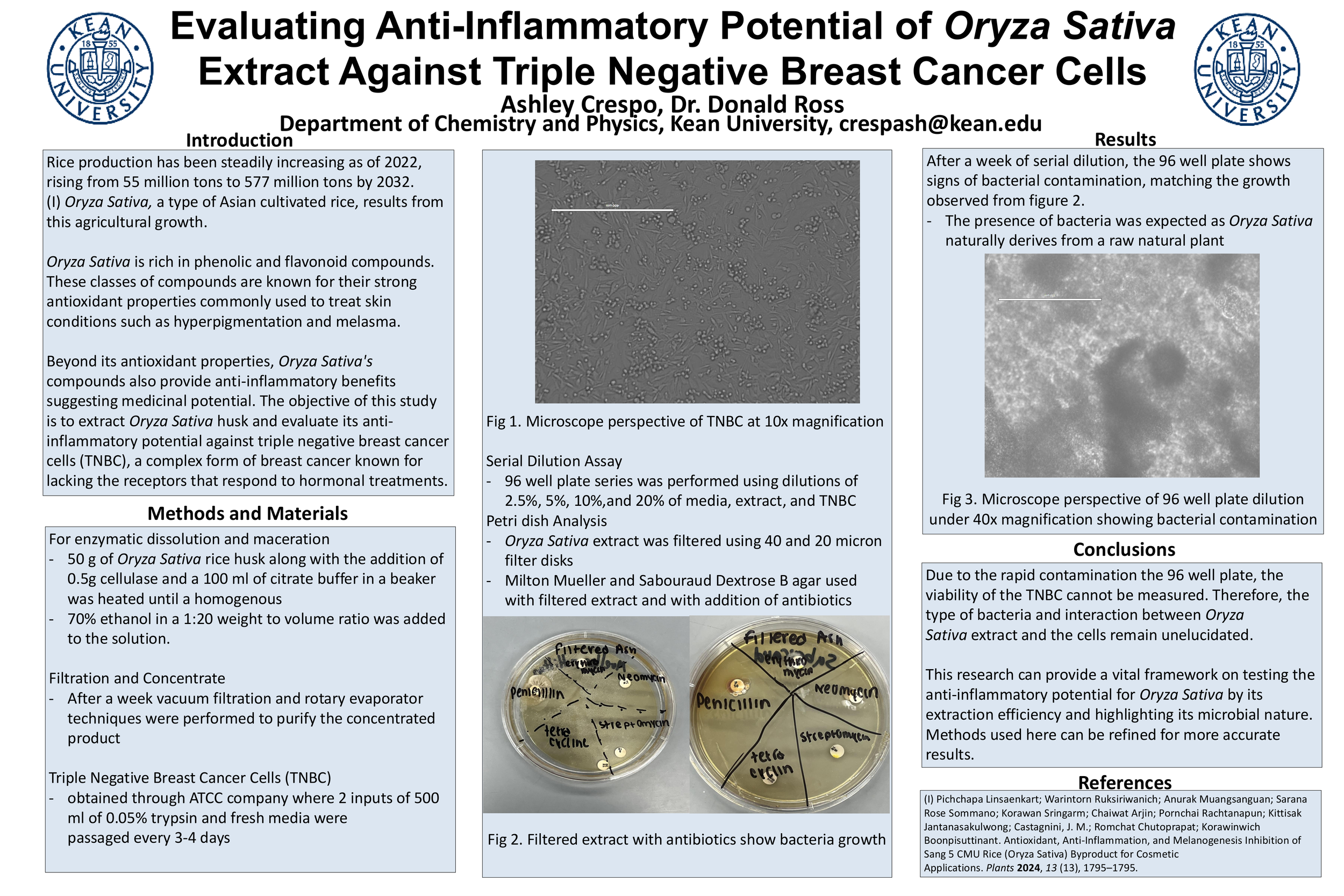 Evaluating Anti-Inflammatory Potential of Oryza Sativa Extract Against Triple Negative Breast Cancer Cells