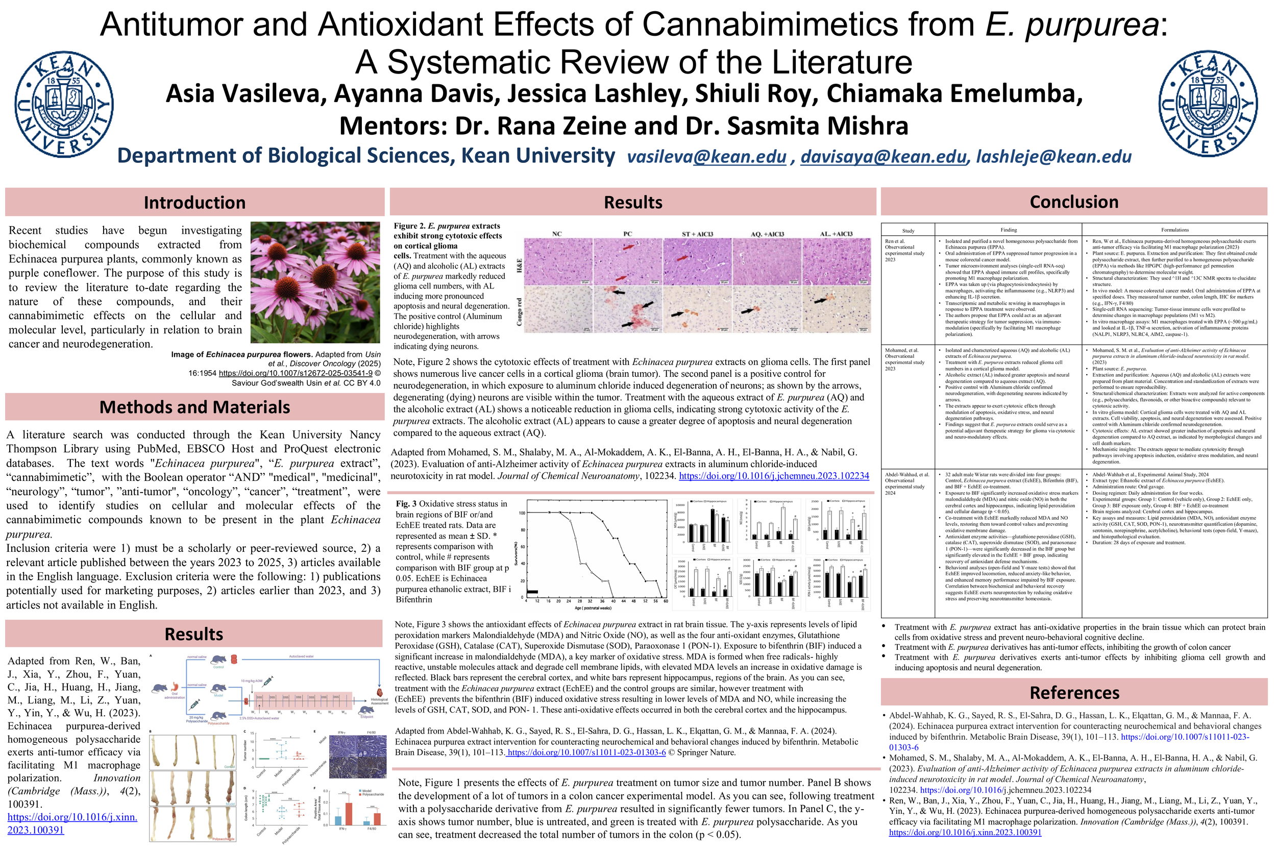 Antitumor and Antioxidant Effects of Cannabimimetics from E. purpurea: A Systematic Review of the Literature