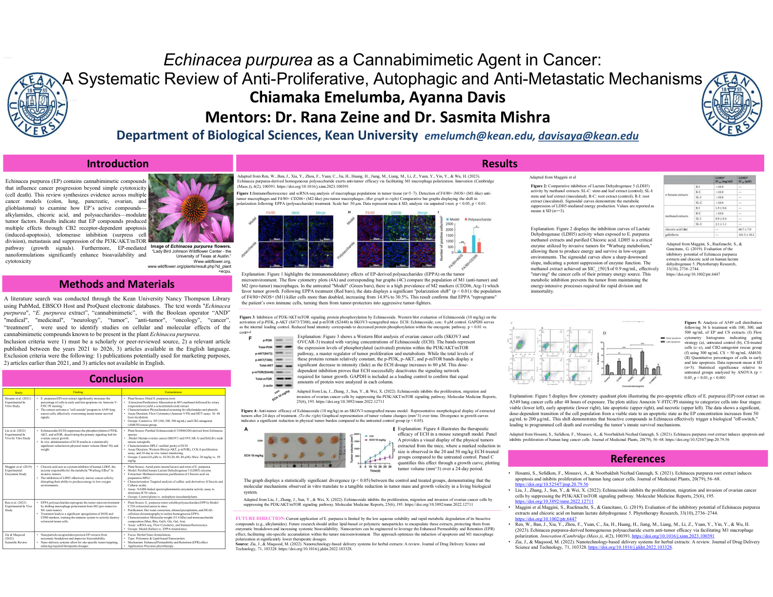 Echinacea purpurea as a Cannabimimetic Agent in Cancer: A Systematic Review of Anti-Proliferative, Autophagic and Anti-Metastatic Mechanisms