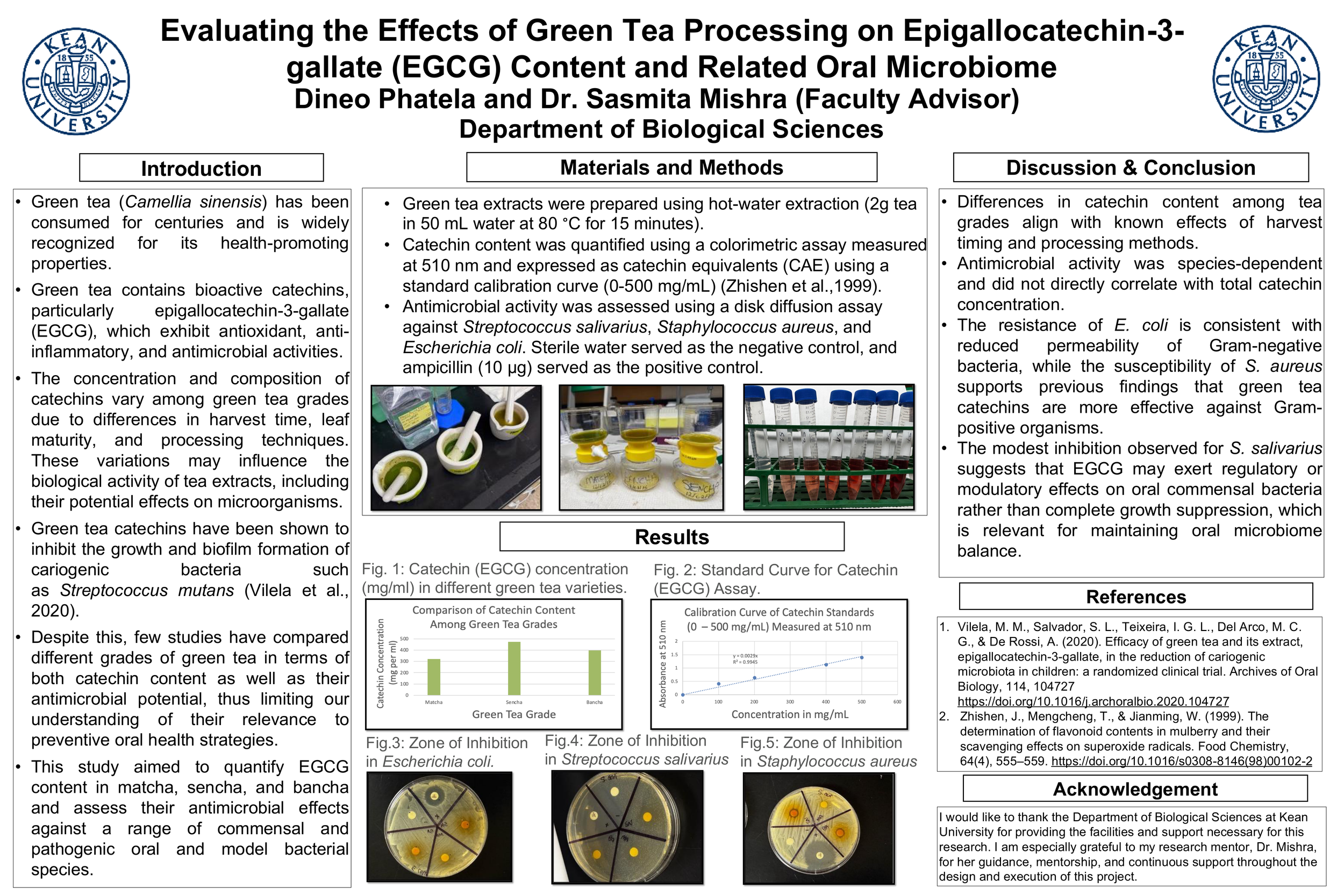 Evaluating the Effects of Green Tea Processing on Epigallocatechin-3- gallate (EGCG) Content and Related Oral Microbiome