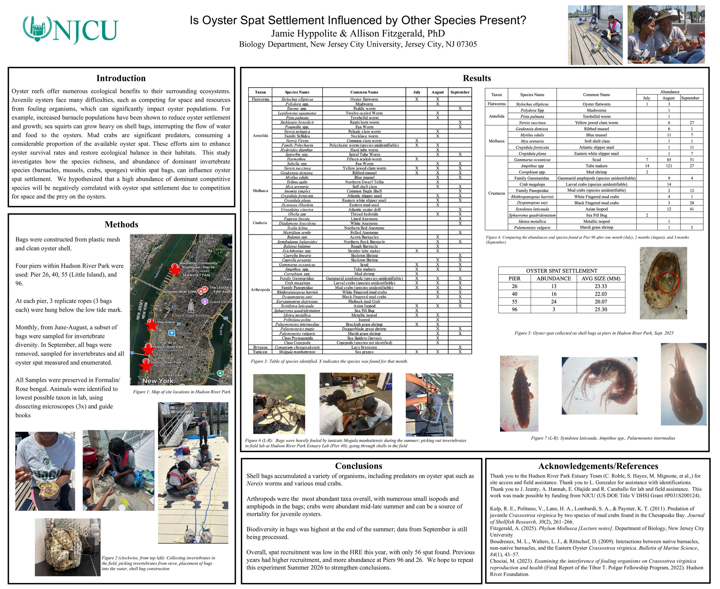 Is Oyster Spat Settlement Influenced by Other Species Present?