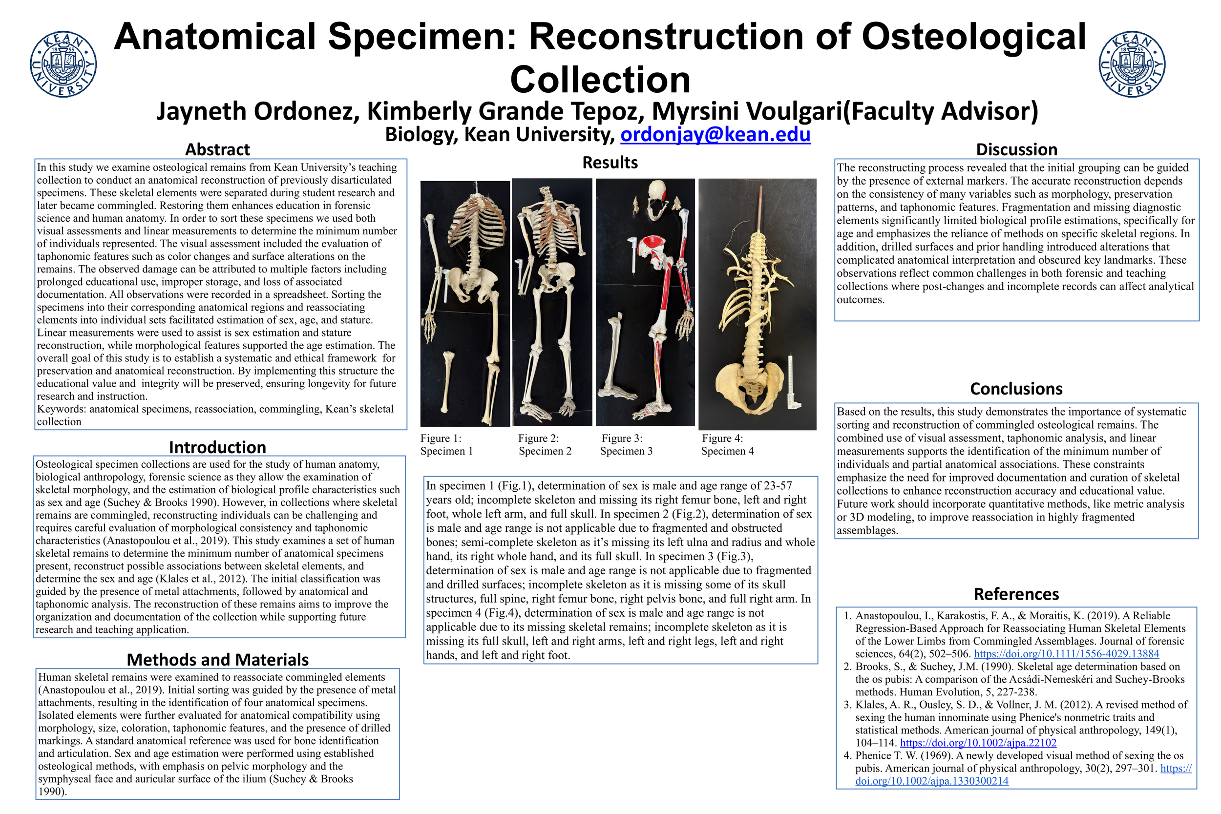 Anatomical Specimen: Reconstruction of Osteological Collection
