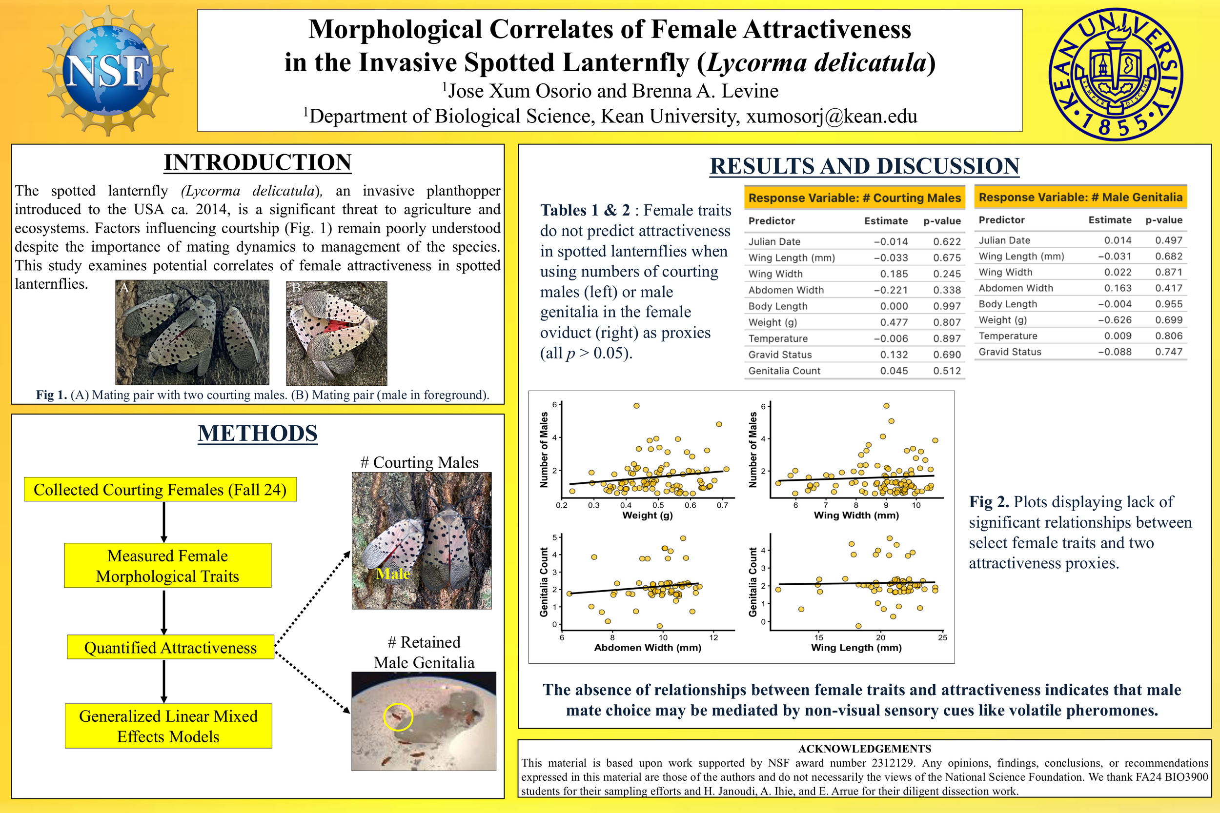 Morphological and Ecological Correlates of Female Attractiveness in the Invasive Spotted Lanternfly (Lycorma delicatula)