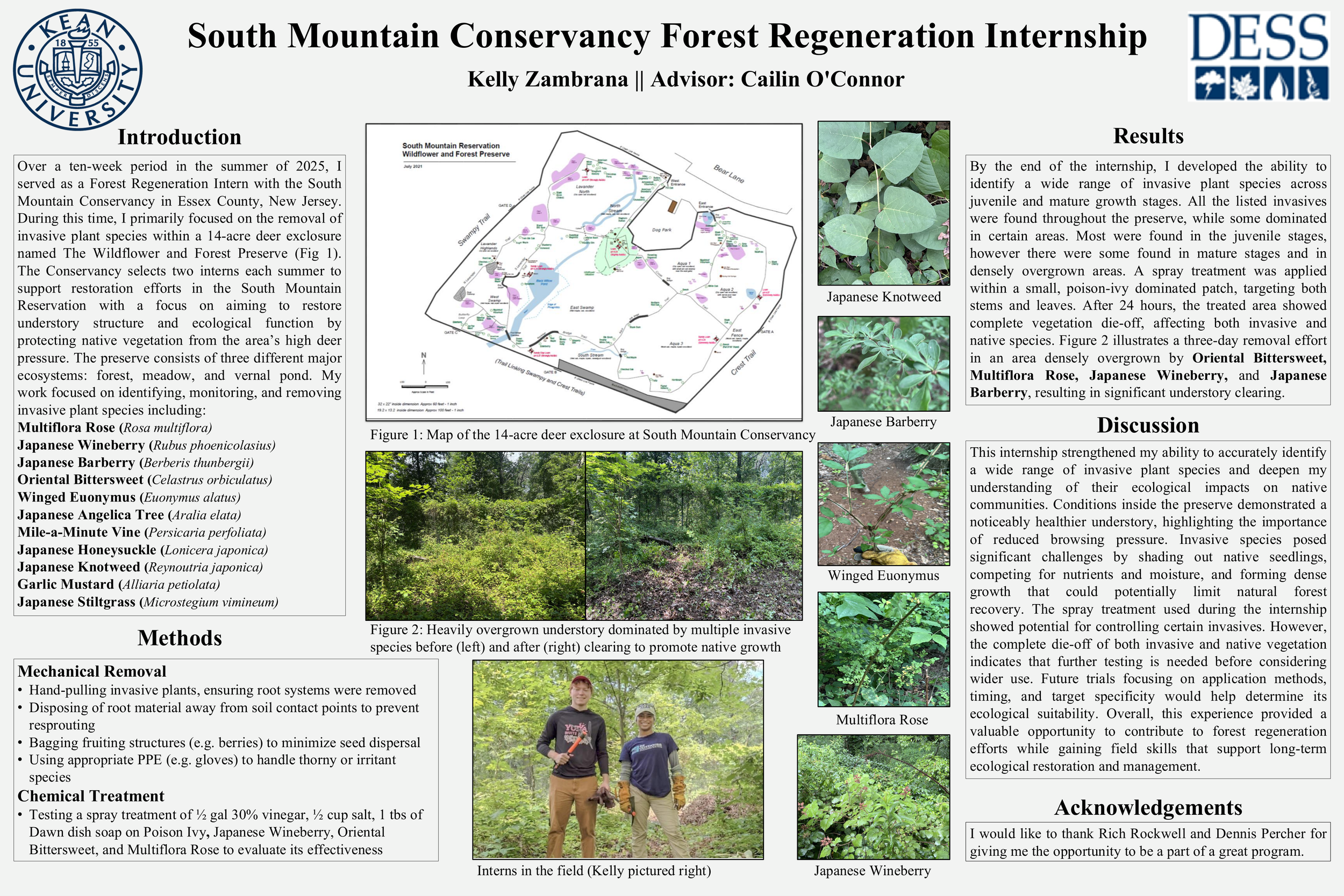 South Mountain Conservancy Forest Regeneration Internship