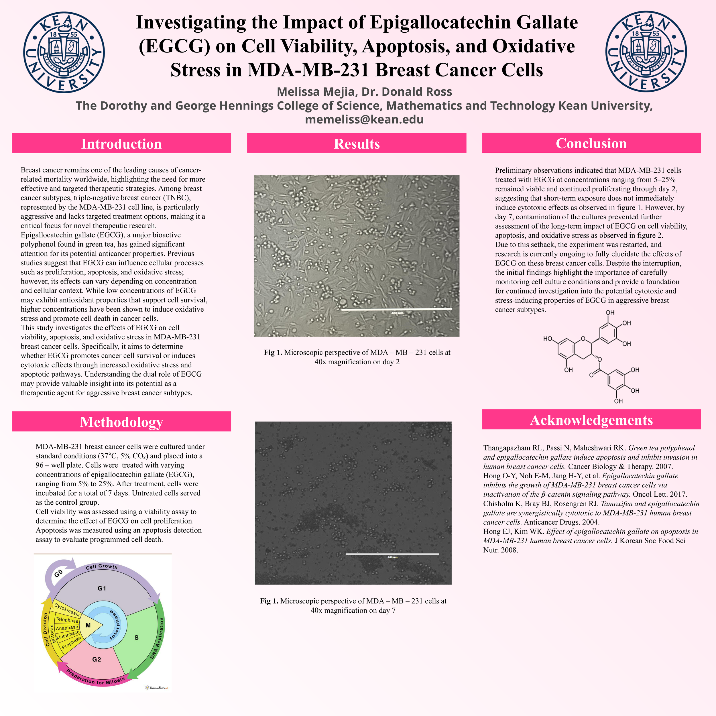 Investigating the Impact of Epigallocatechin Gallate (EGCG) on Cell Viability, Apoptosis, and Oxidative Stress in MDA-MB-231 Breast Cancer Cells