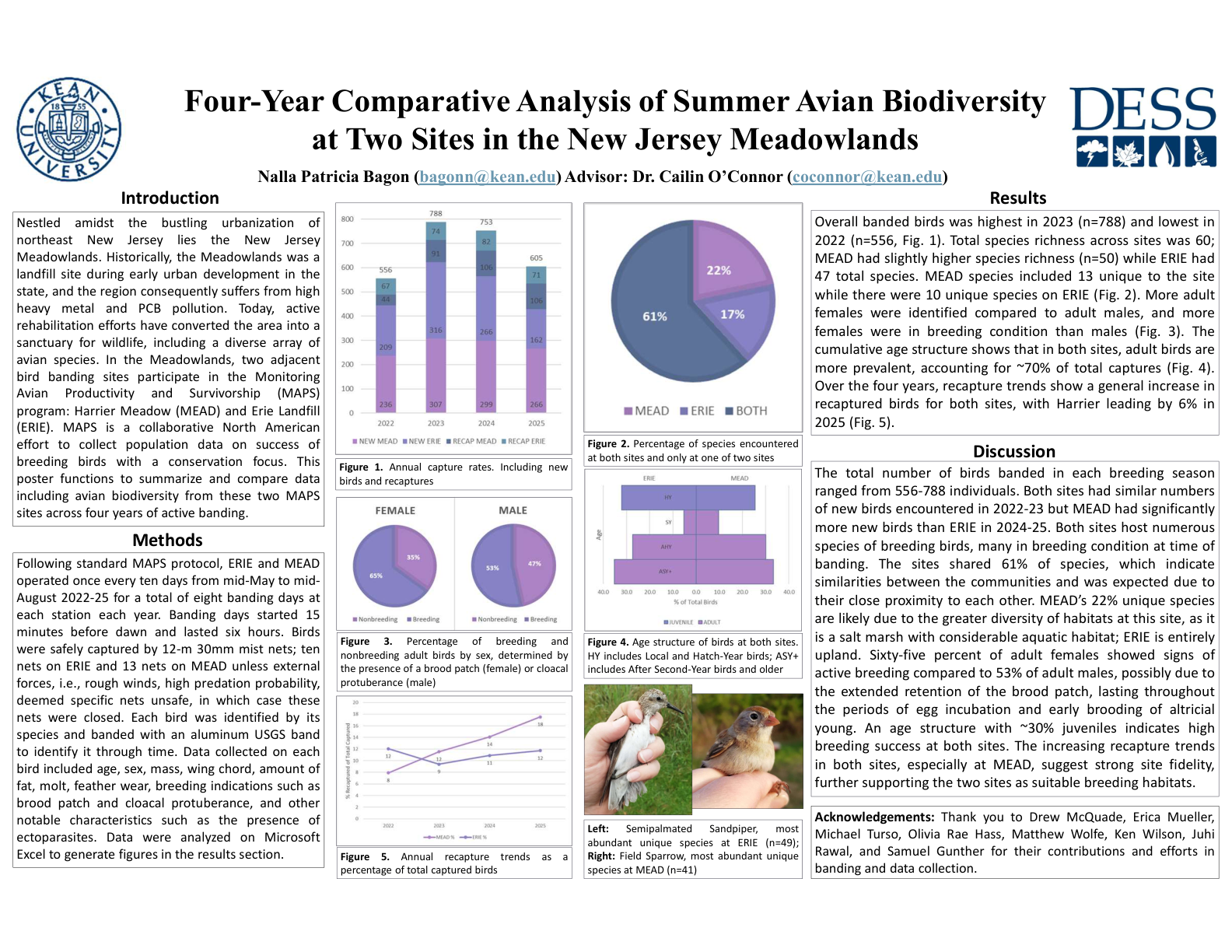 Four-Year Comparative Analysis of Summer Avian Biodiversity at Two Sites in the New Jersey Meadowlands