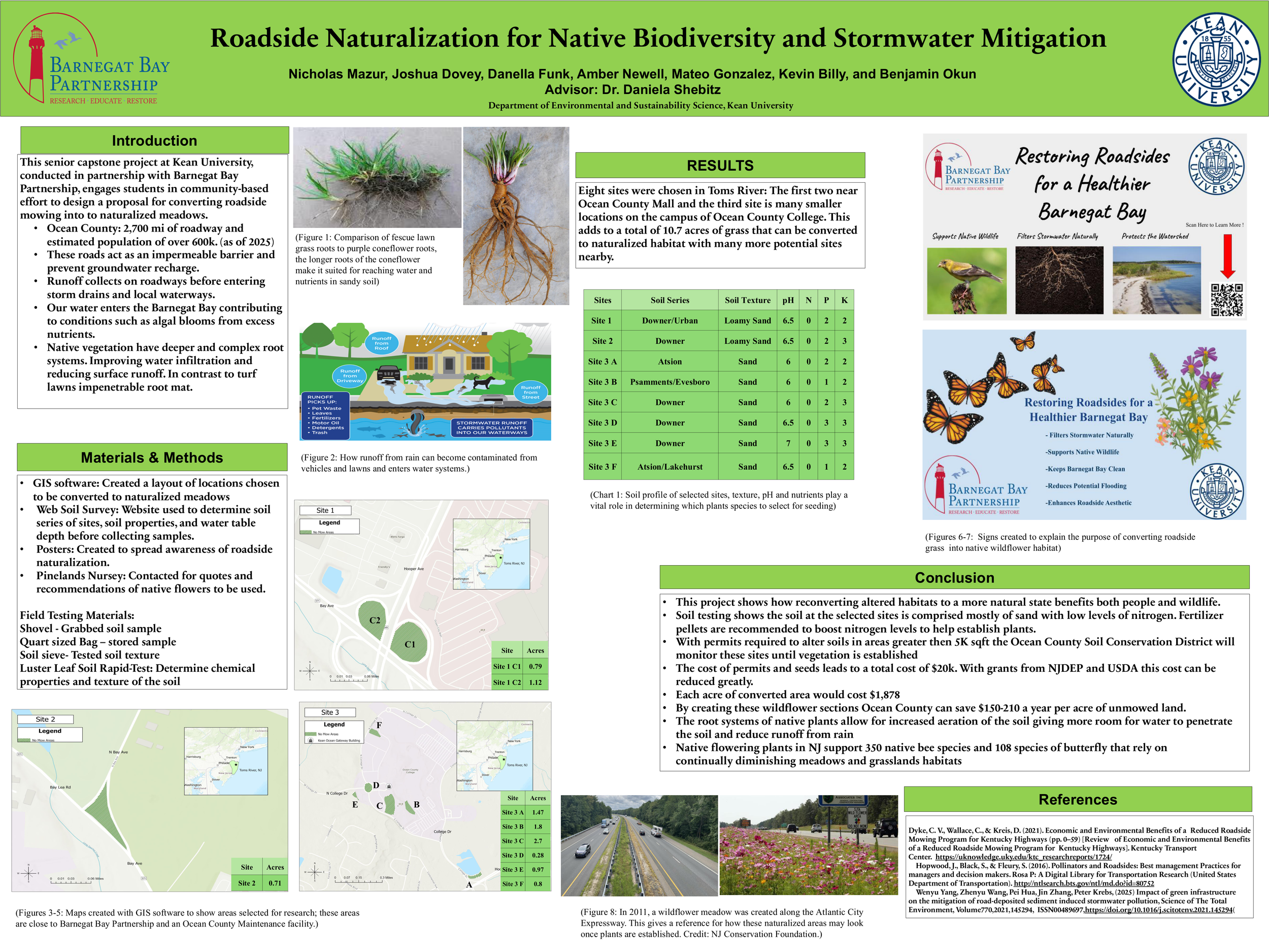 Roadside Naturalization for Native Biodiversity and Stormwater Mitigation, Ocean County NJ