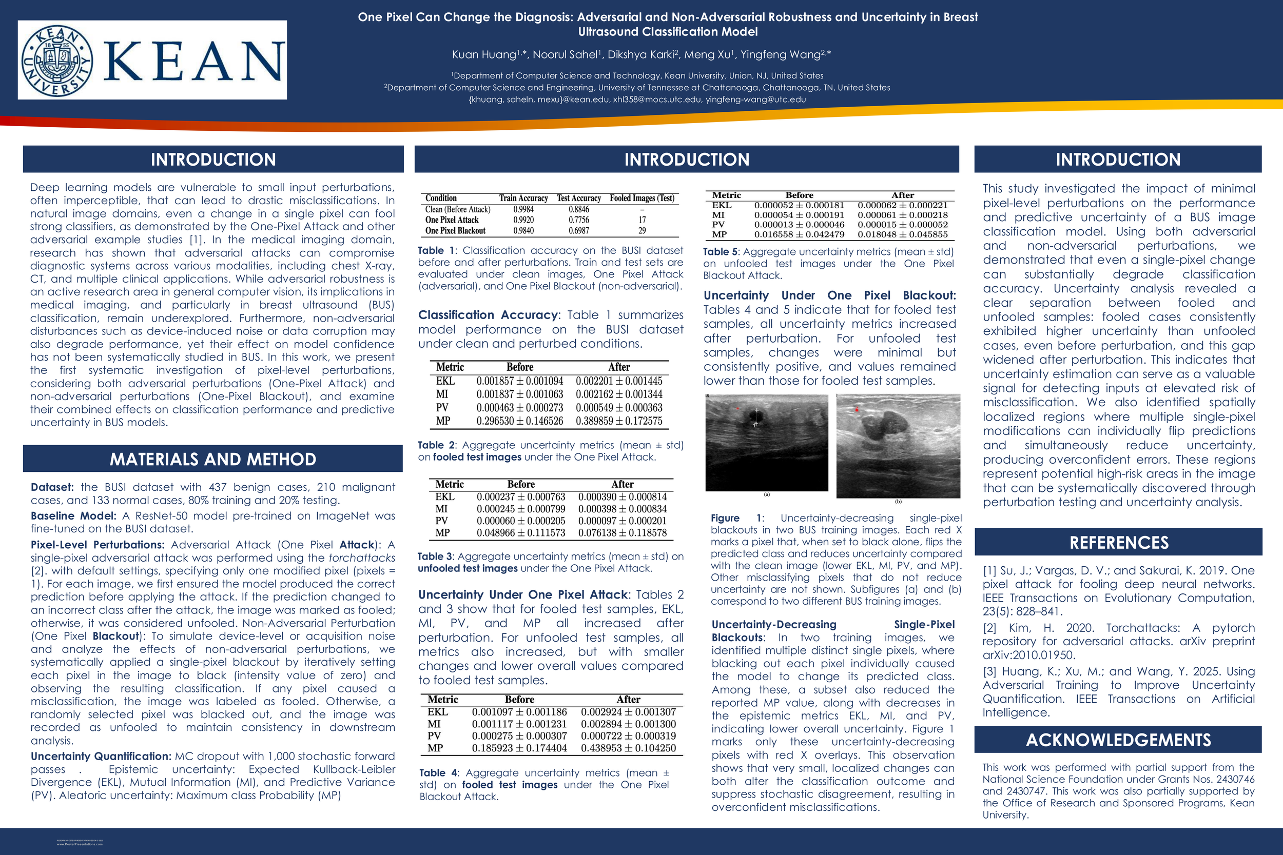 One Pixel Can Change the Diagnosis: Adversarial and Non-Adversarial Robustness and Uncertainty in Breast Ultrasound Classification Model​