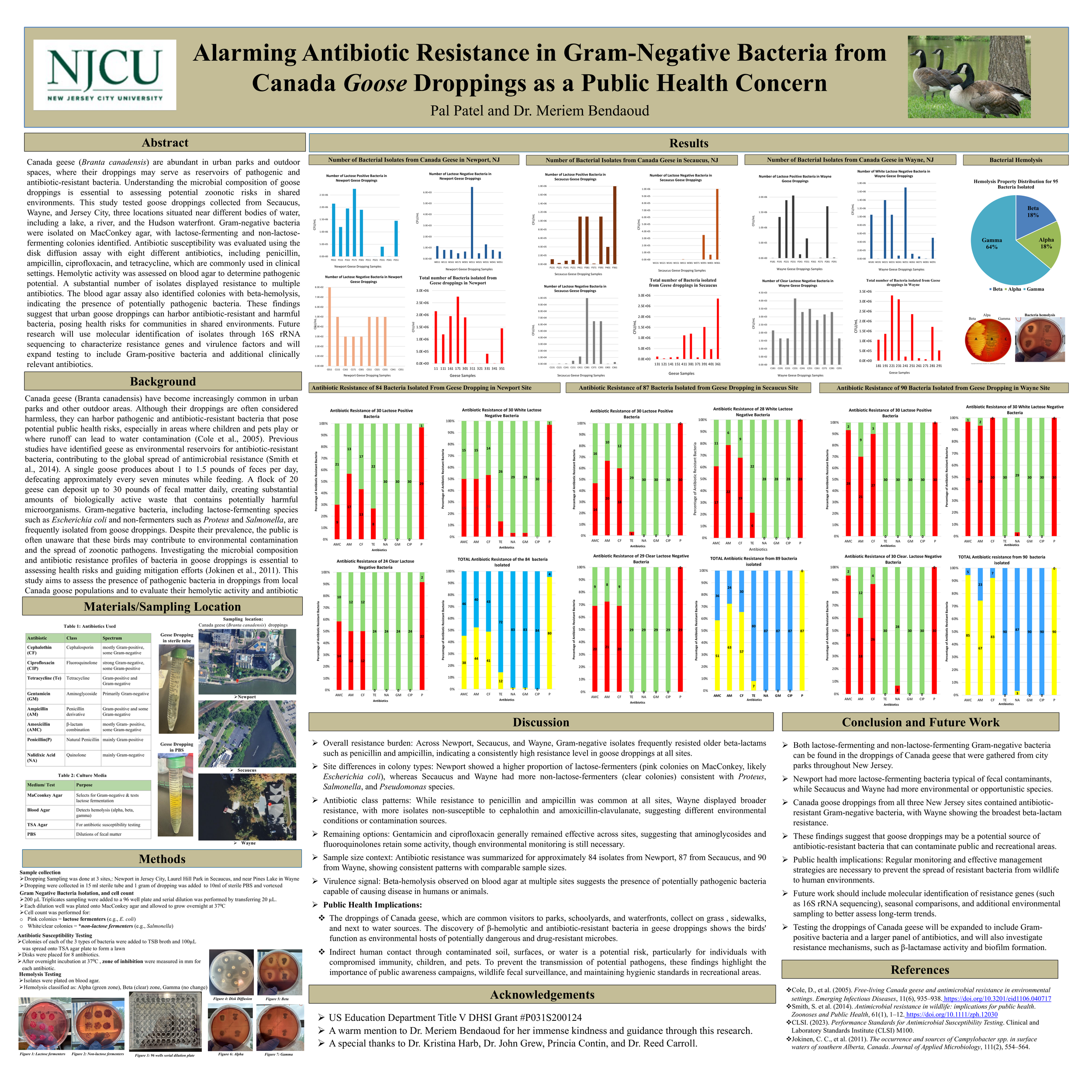 Alarming Antibiotic Resistance in Gram-Negative Bacteria from Canada Goose Droppings as a Public Health Concern​