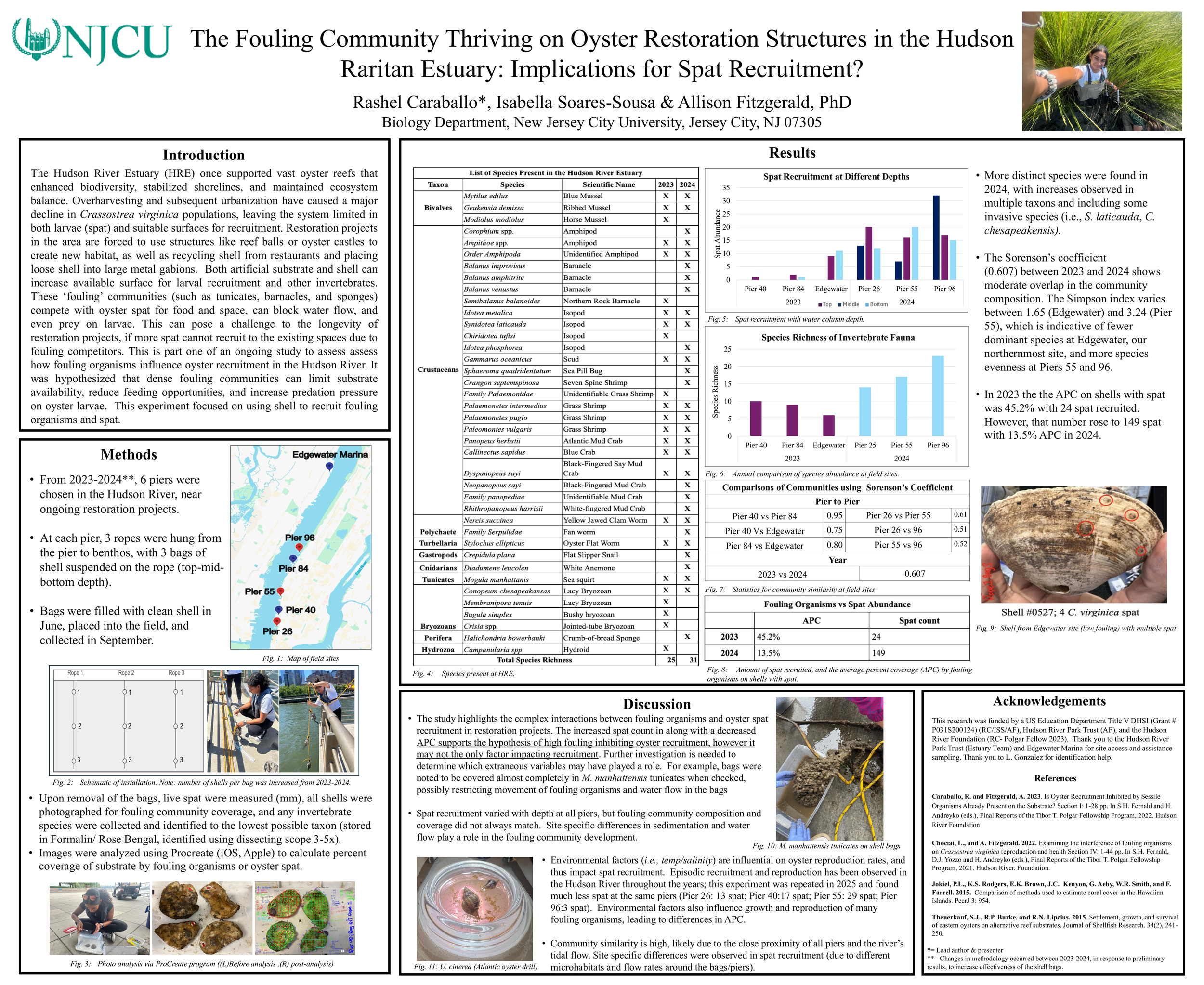 The Fouling Community Thriving on Oyster Restoration Structures in the Hudson Raritan Estuary: Implications for Spat Recruitment?