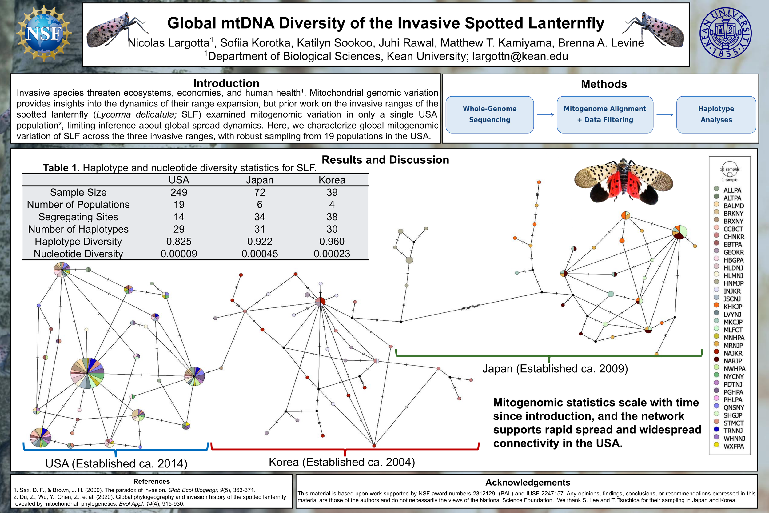 Global mtDNA Diversity of the Invasive Spotted Lanternfly