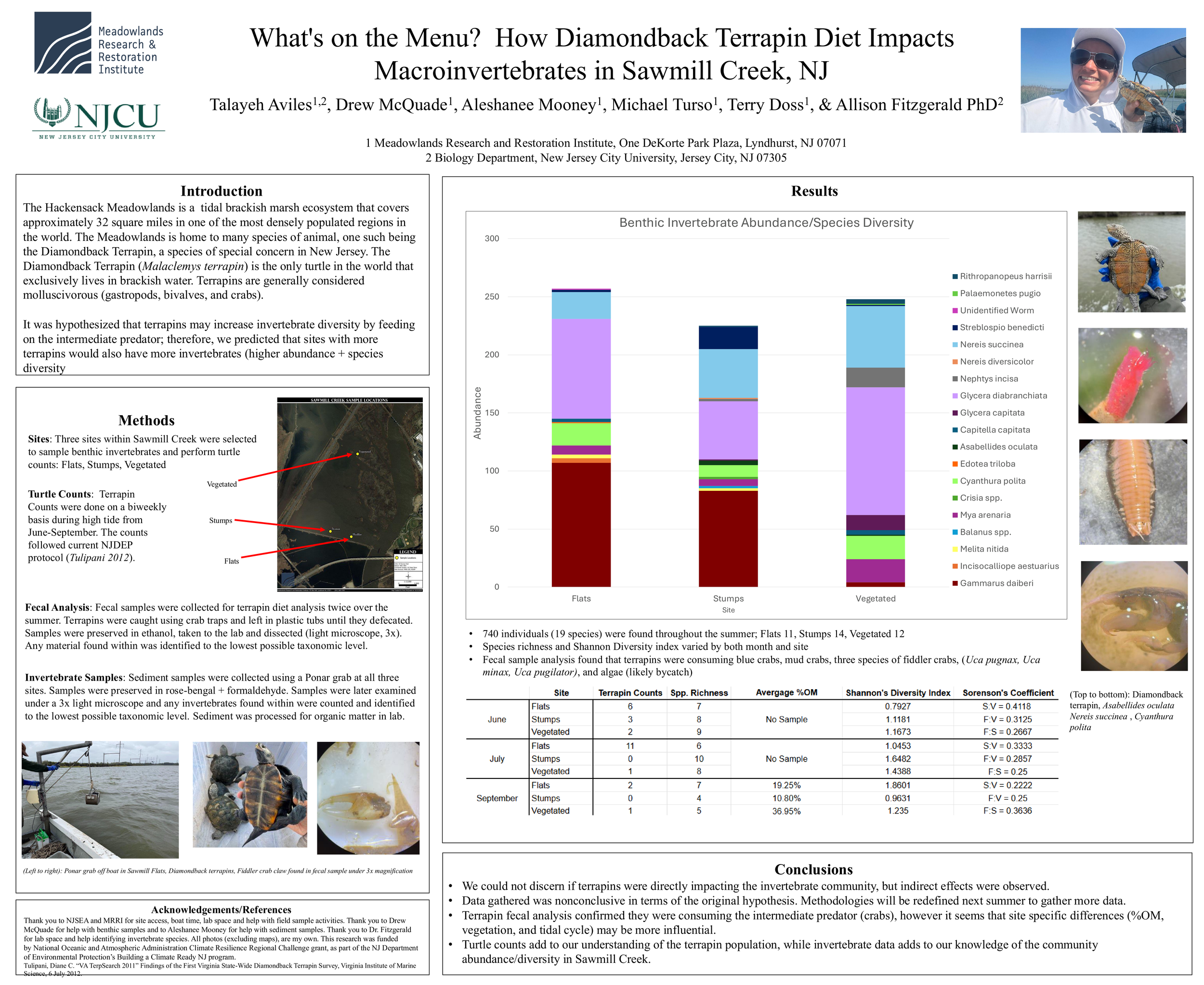 What’s on the Menu? How Diamondback Terrapin Diet Impacts Macroinvertebrates in Sawmill Creek, NJ