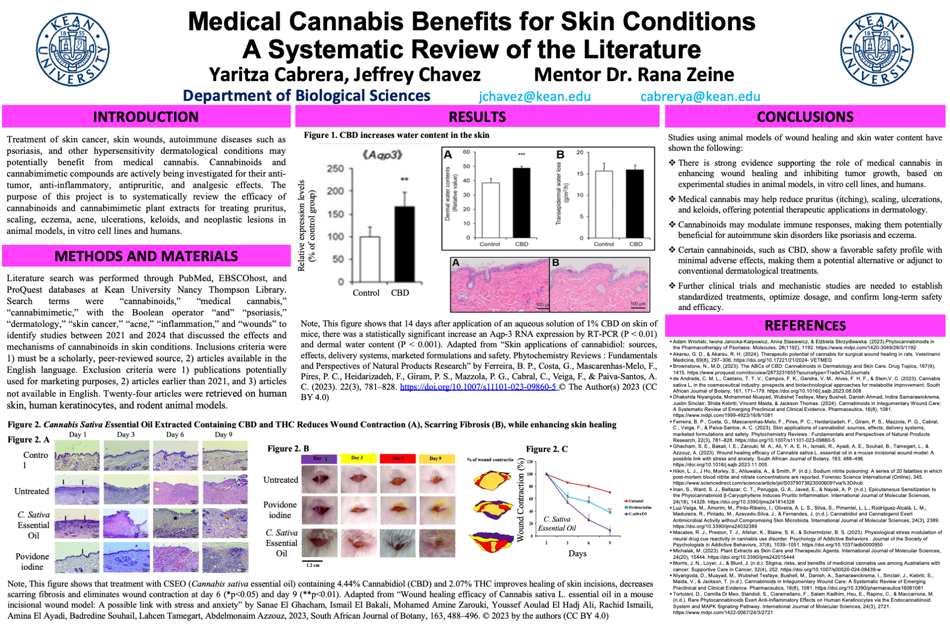 POSTER Medical Cannabis Skin Cabrera, Chavez, Zeine..png
