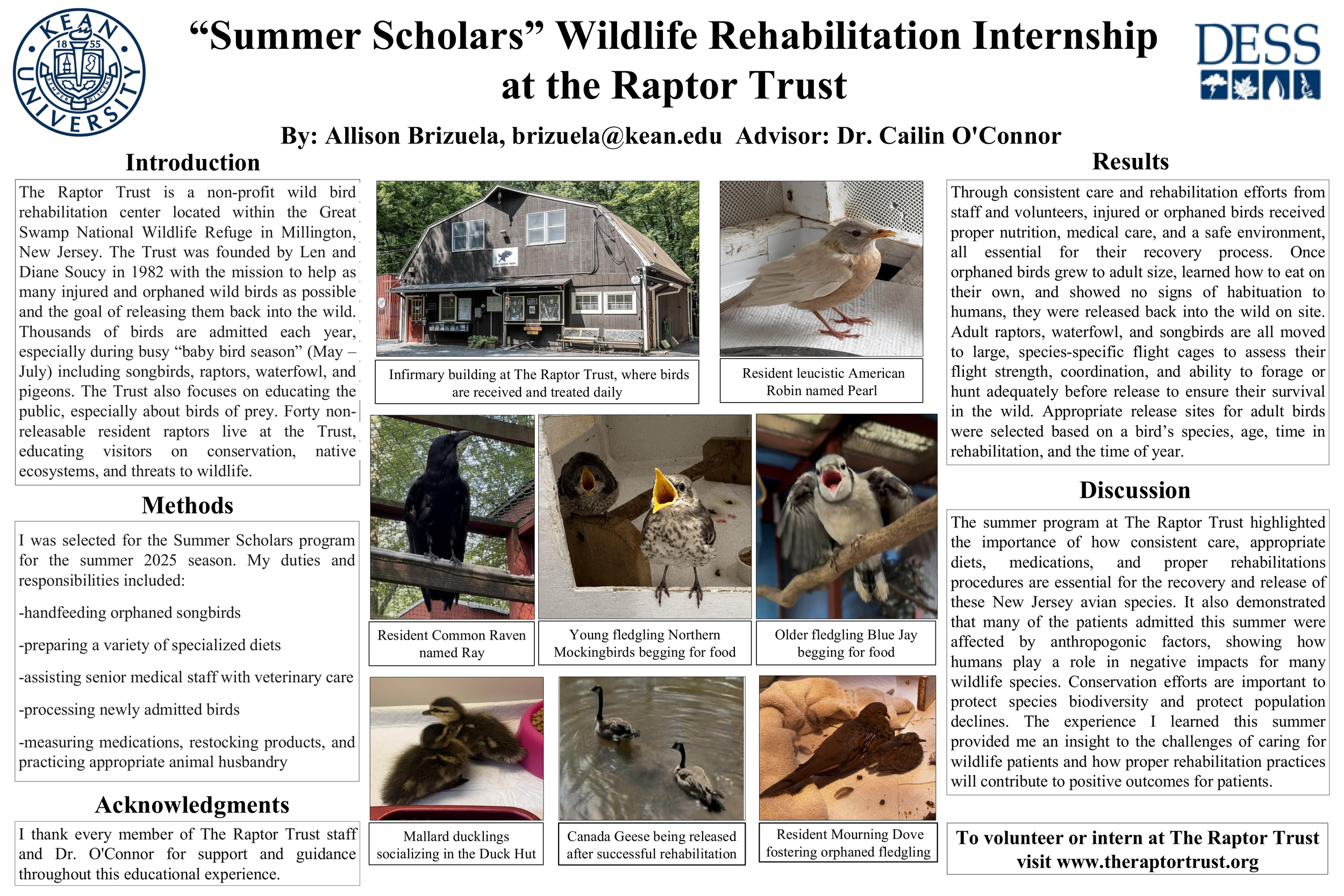 Allison Brizuela Poster Presentation