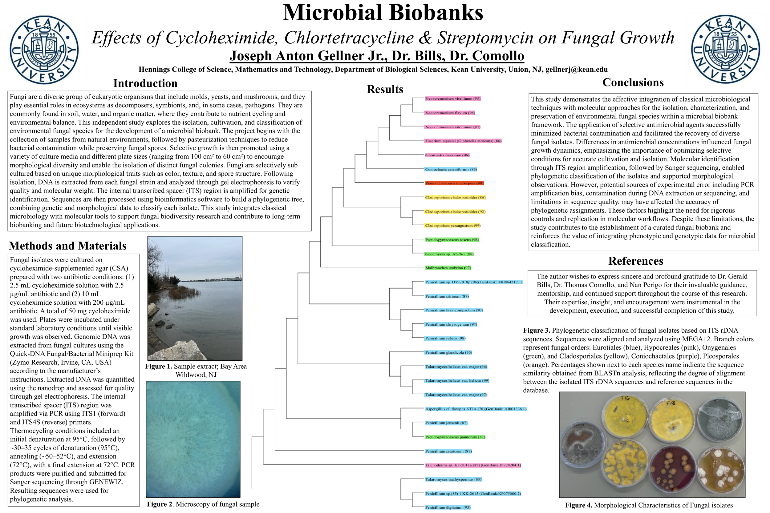 Joseph Gellner Poster Presentation